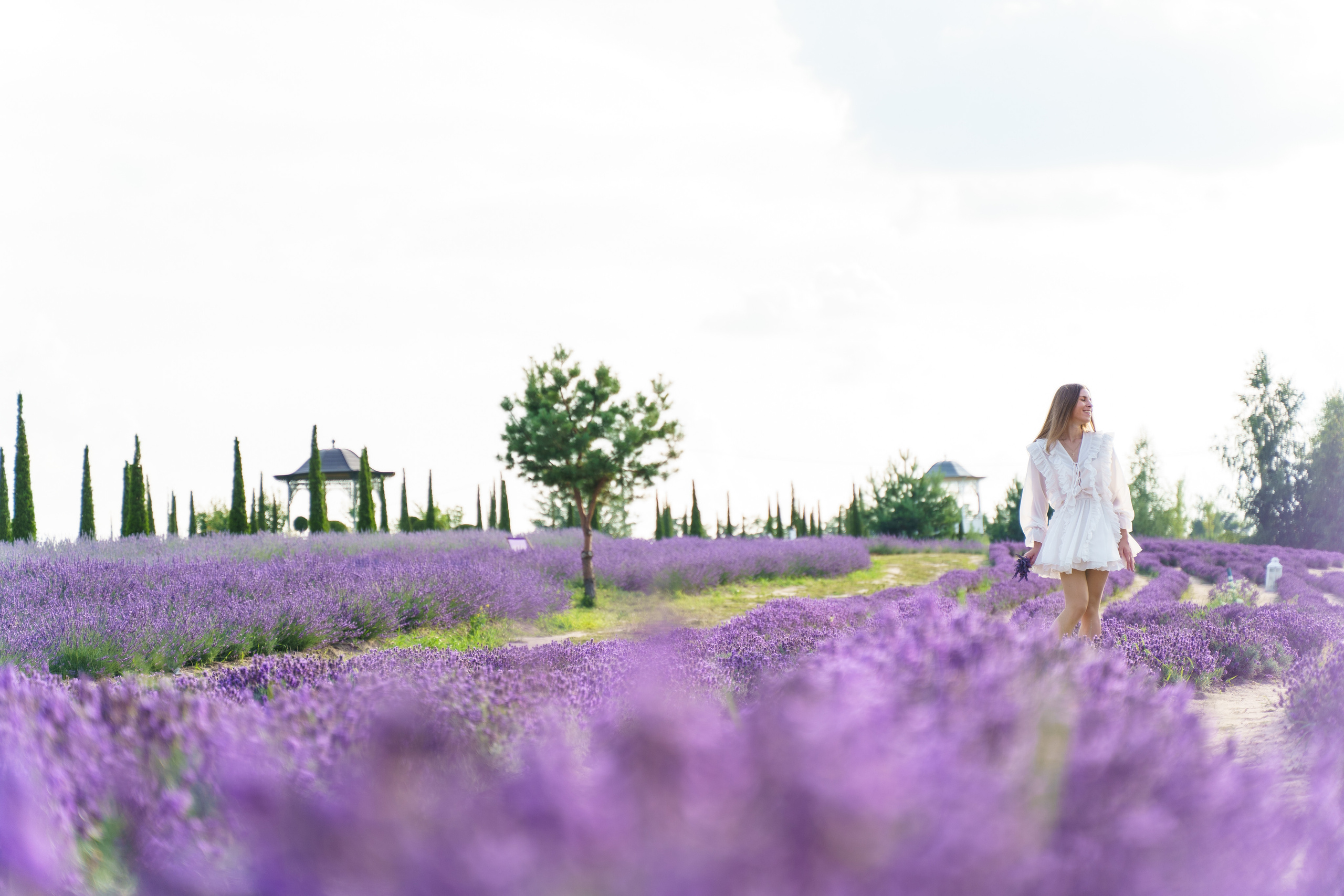 індивідуальна фотосесія, фотосесія в лаванді, фотограф київ,  Фотосесія в лавандовому полі, Фотосесія на лавандовому полі в Україні, Сертификат на фотосессию, Фотосесія Київ під ключ, Сімейна фотосесія в лаванді, лаванда фото, девушка в лавандовом поле, девушка в лавандовом поле фото, фотосессия фото в лавандовом поле, прованс фотосессия фото в лавандовом поле, фото в лаванде идеи, фото в лаванді, фотосесія у лавандовому полі, київський прованс