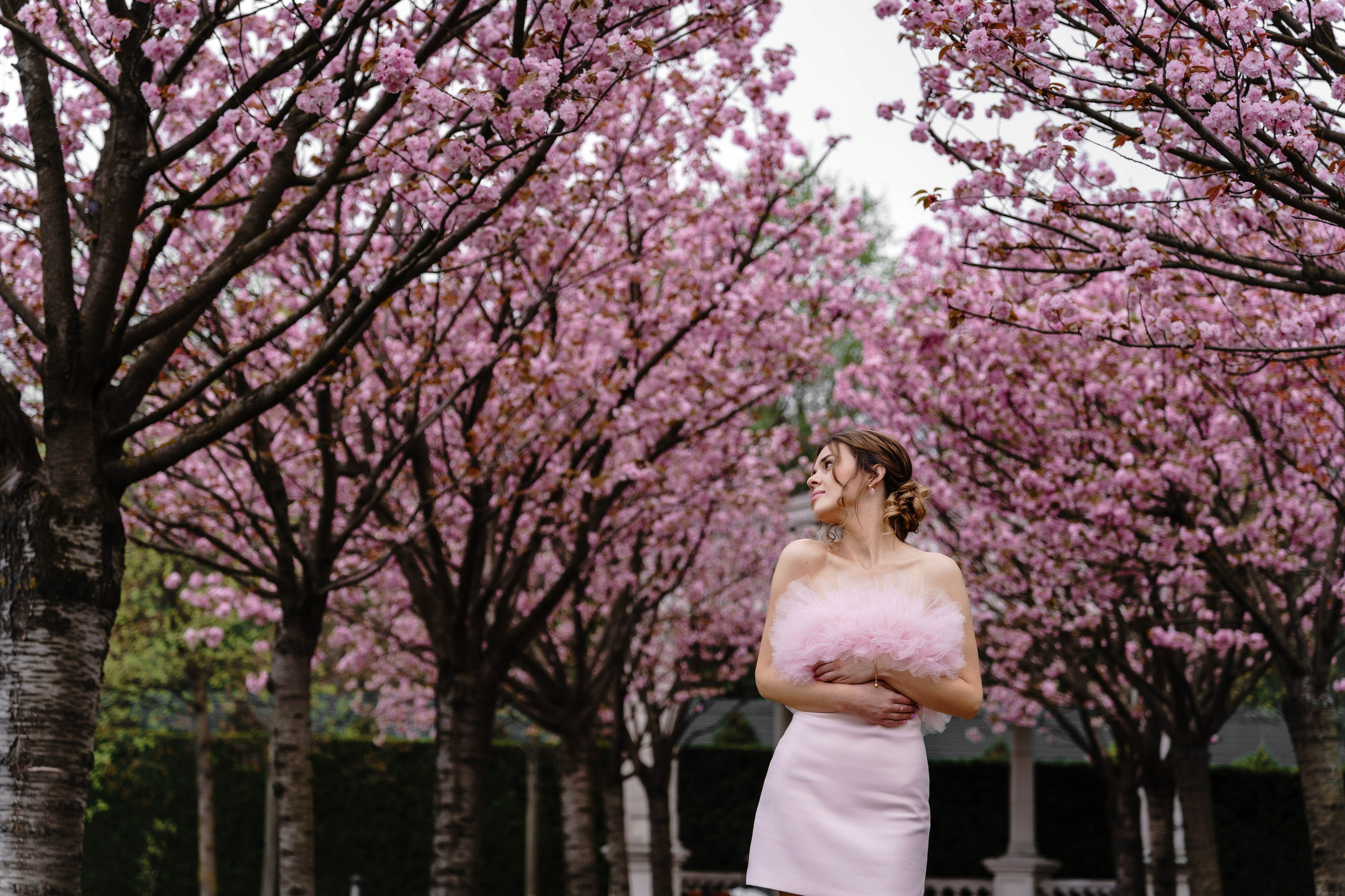 Фотосесія в сакурах. Family photographer in Kiev Natalia Shkavron