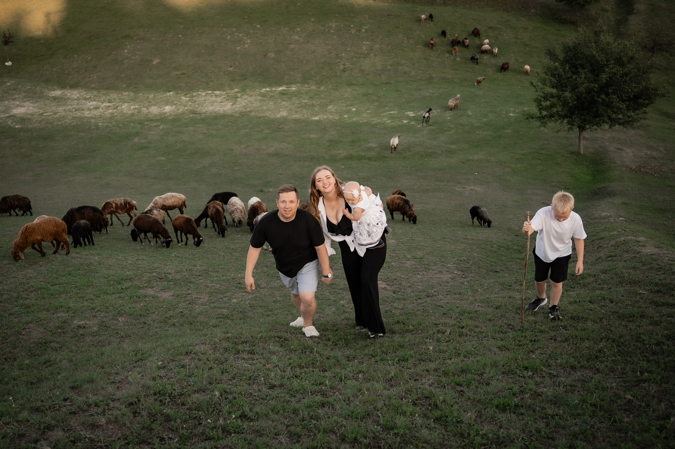 Сімейна фотосесія на овечій фермі. Сімейний фотограф Київ Наталія Шкаврон
