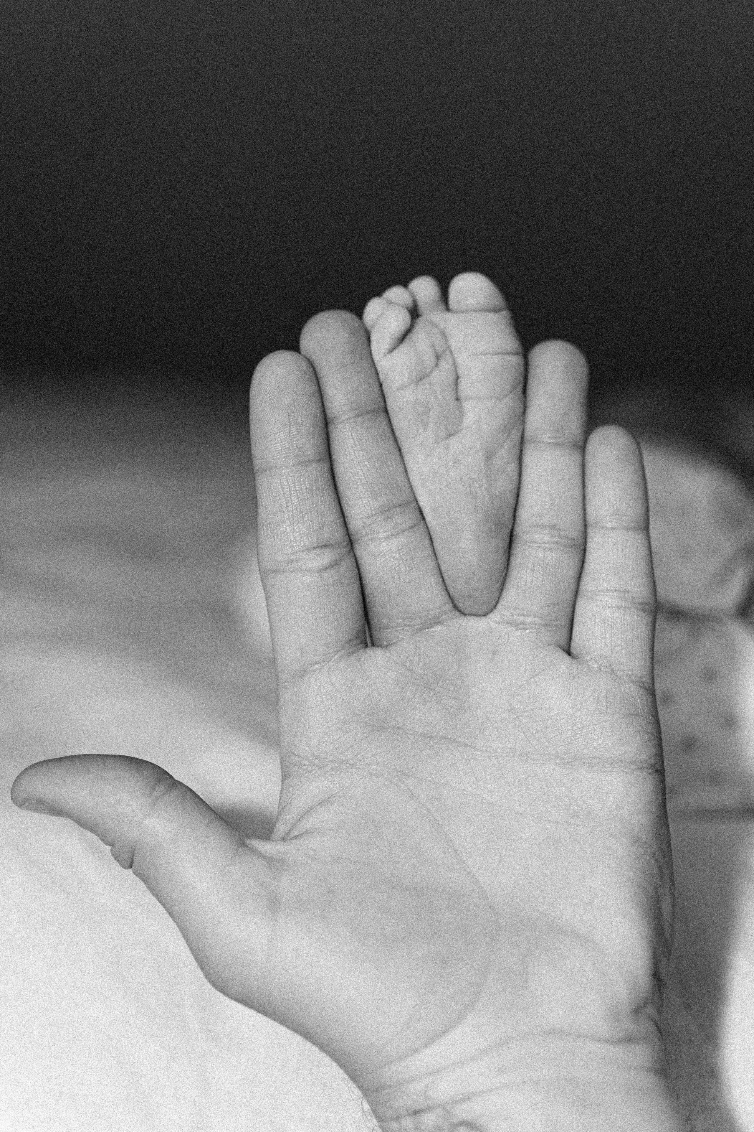 домашня фотосесія, новонароджений, сімейна фотосесія, фотосесія новонародженого, фотосесія новонародженого київ, домашня фотосесія київ, домашня фотосесія тарасівка,  сімейна фотосесія київ,  сімейна фотосесія київська область, 