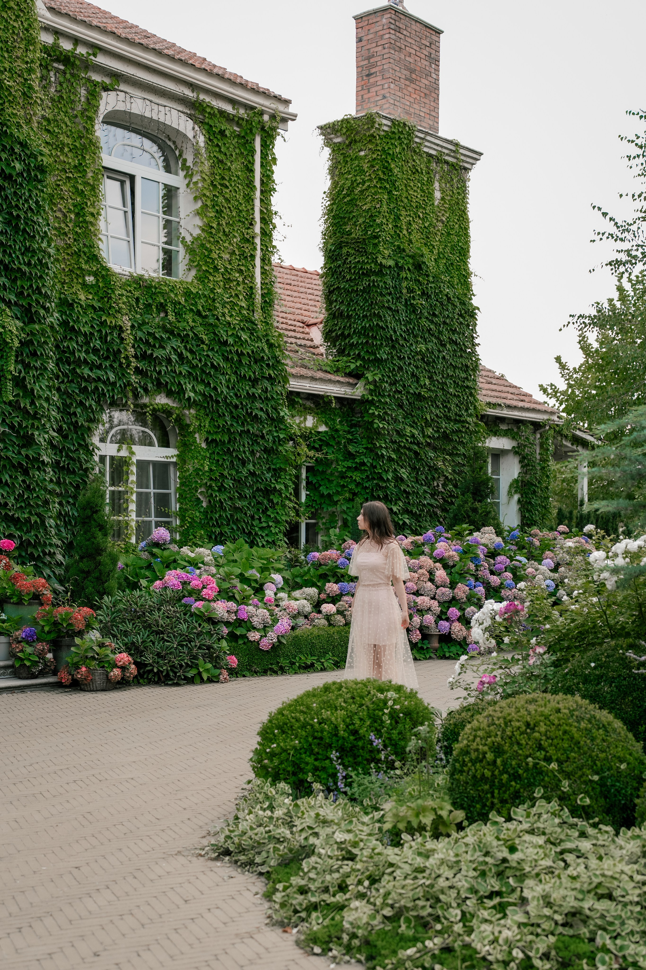Фотосеся індивідуальна в гортензіях. Сімейний фотограф Київ Наталія Шкаврон