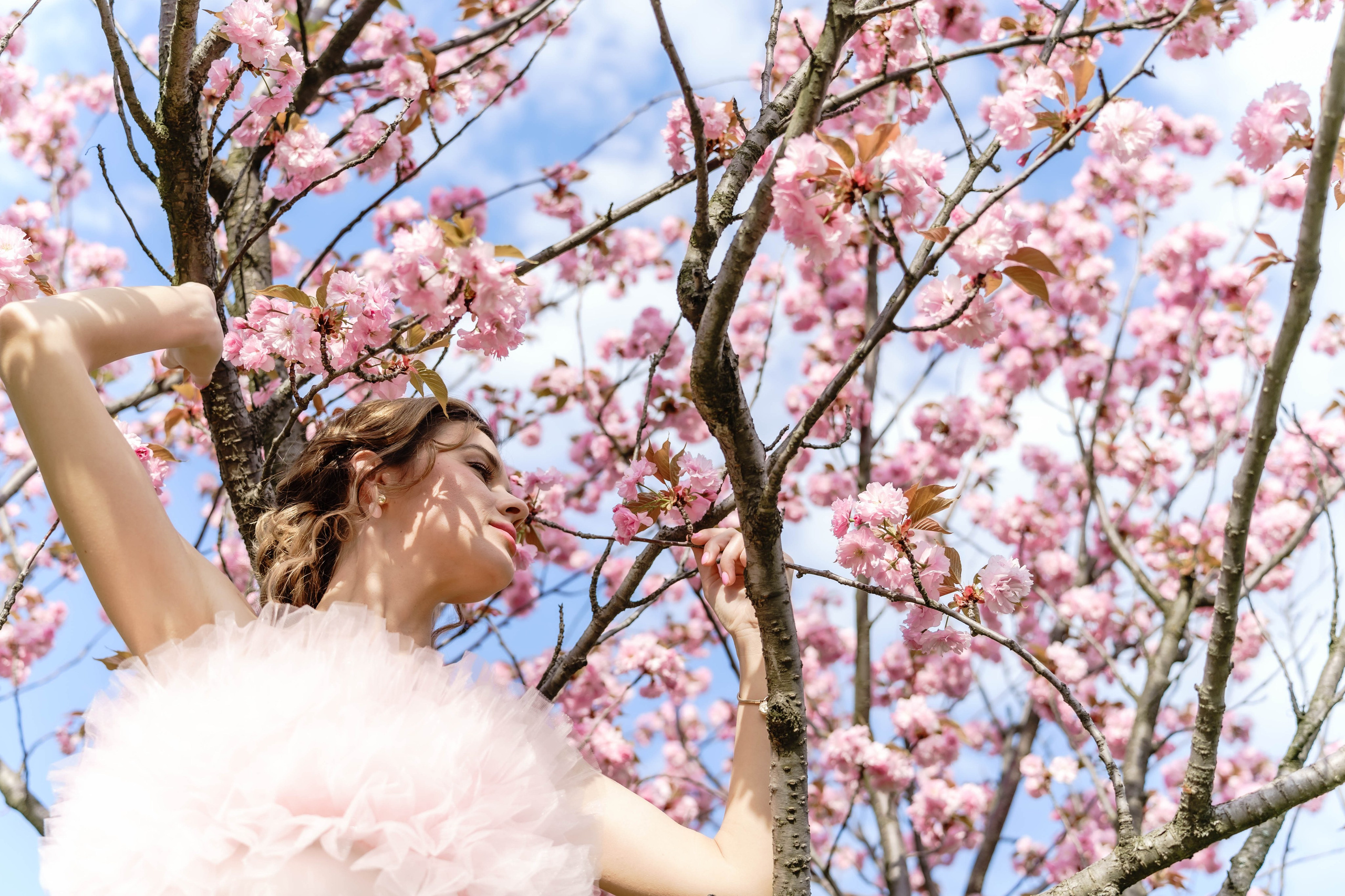 Фотосесія в сакурах. Family photographer in Kiev Natalia Shkavron