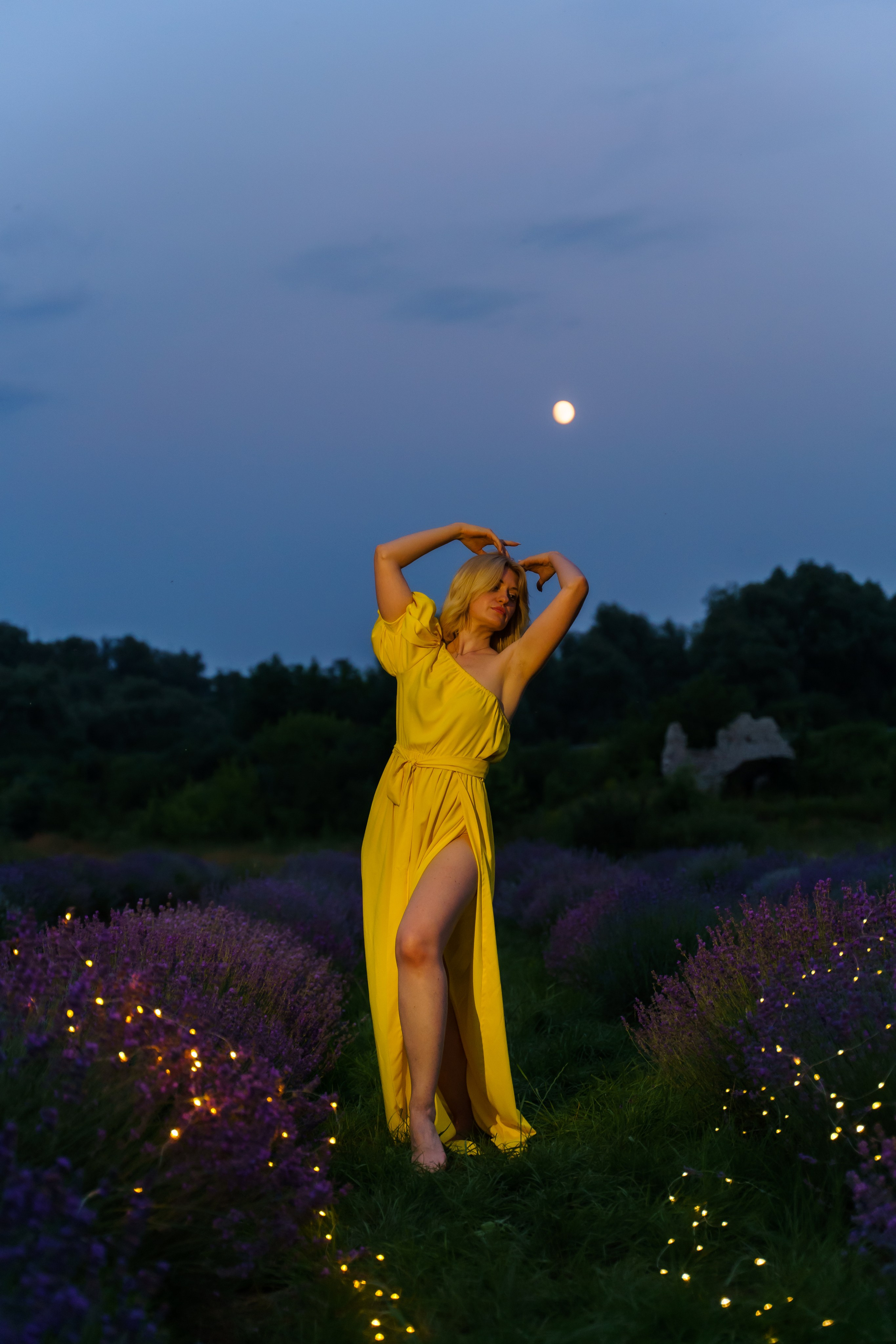 лавандове поле заставка