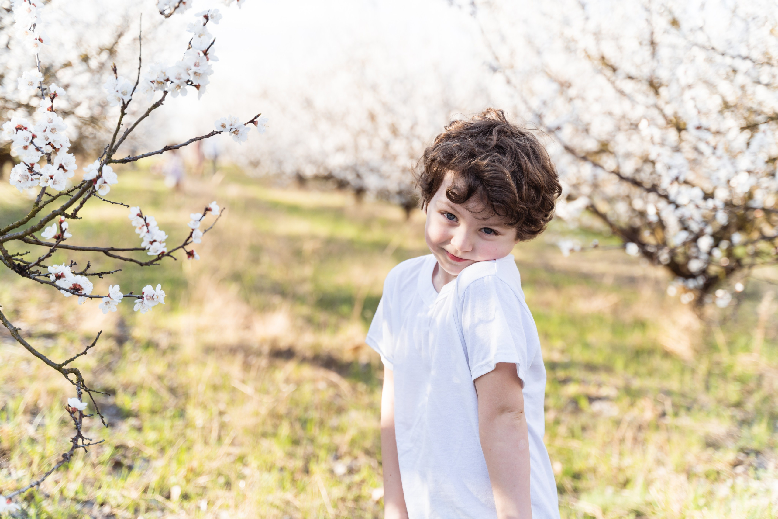 Сімейна фотосесія в абрикосовому саду. Сімейний фотограф Київ Наталія Шкаврон