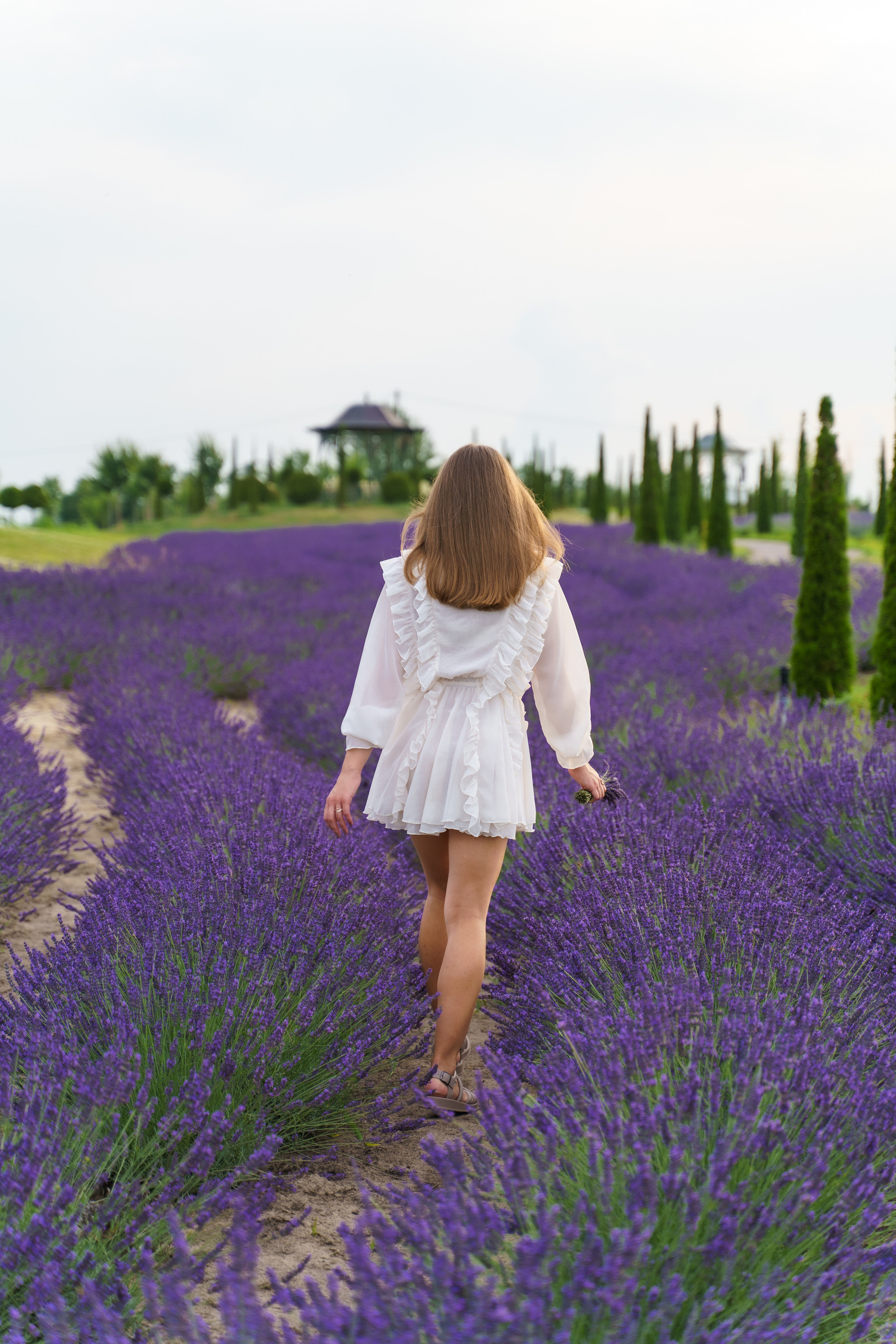 Фотосесія в лаванді у Добропарку. Family photographer in Kiev Natalia Shkavron