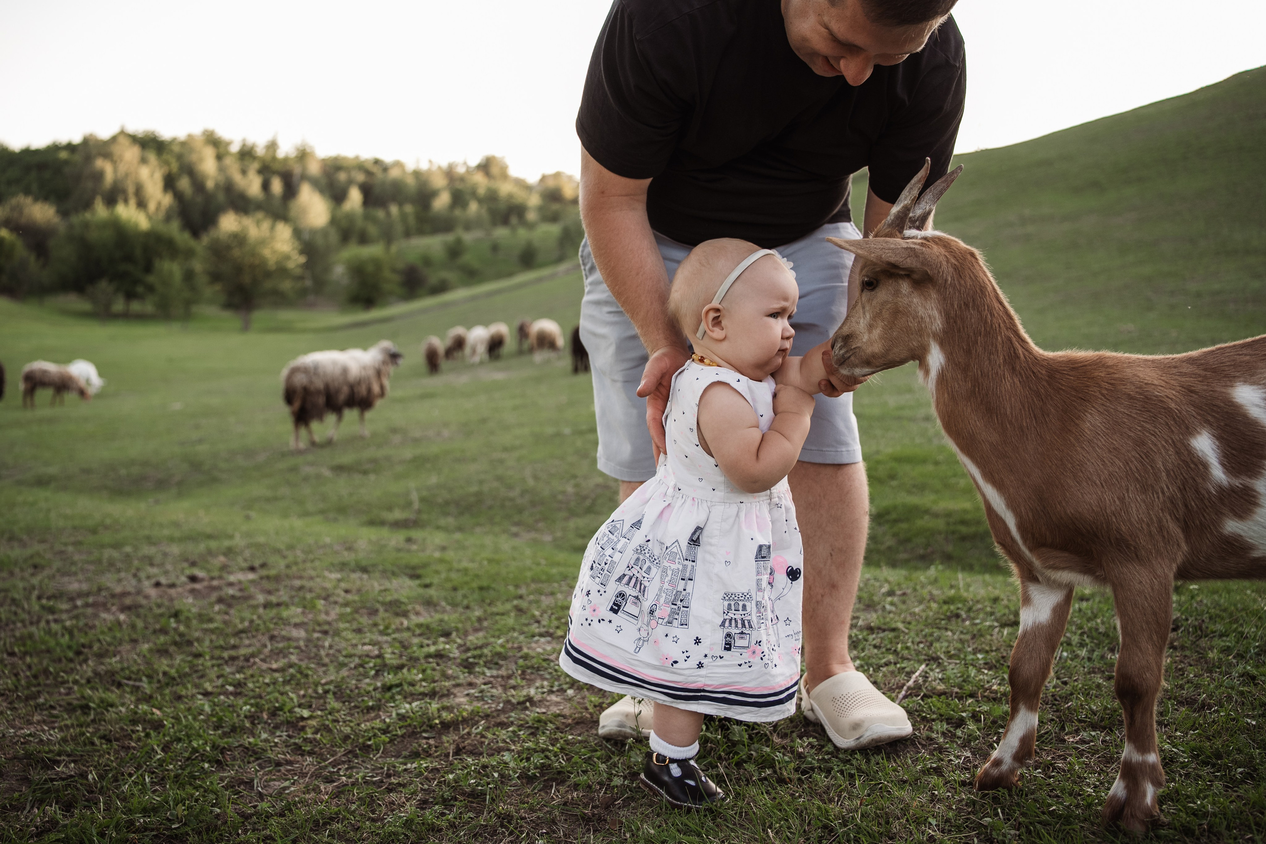 Святкування 1-го дня народження на овечій фермі. Family photographer in Kiev Natalia Shkavron