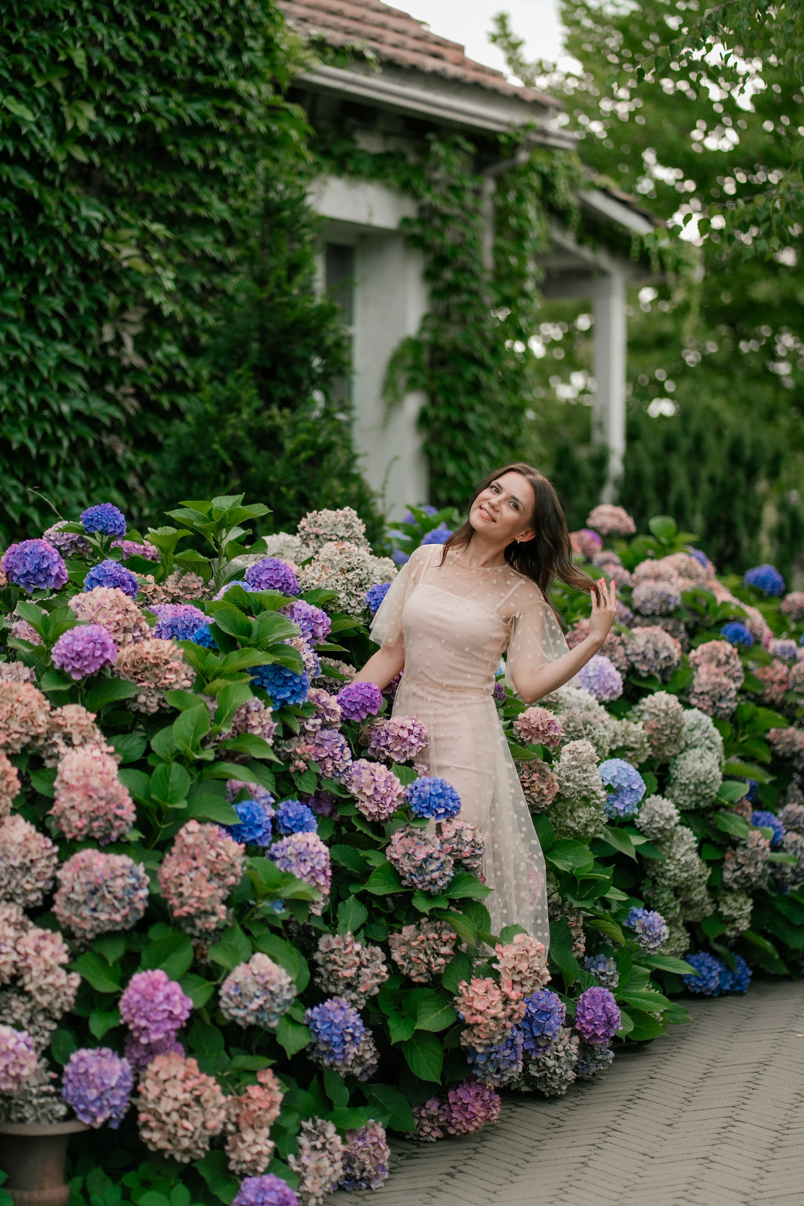 Фотосеся індивідуальна в гортензіях. Сімейний фотограф Київ Наталія Шкаврон