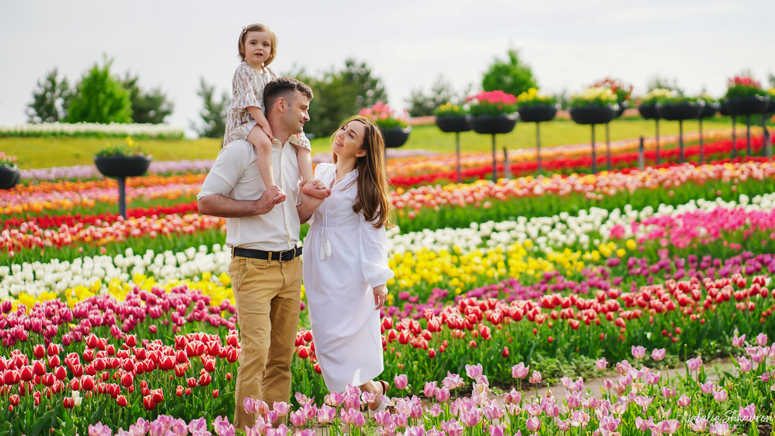 Сімейна фотосесія в тюльпанах. Сімейний фотограф Київ Наталія Шкаврон