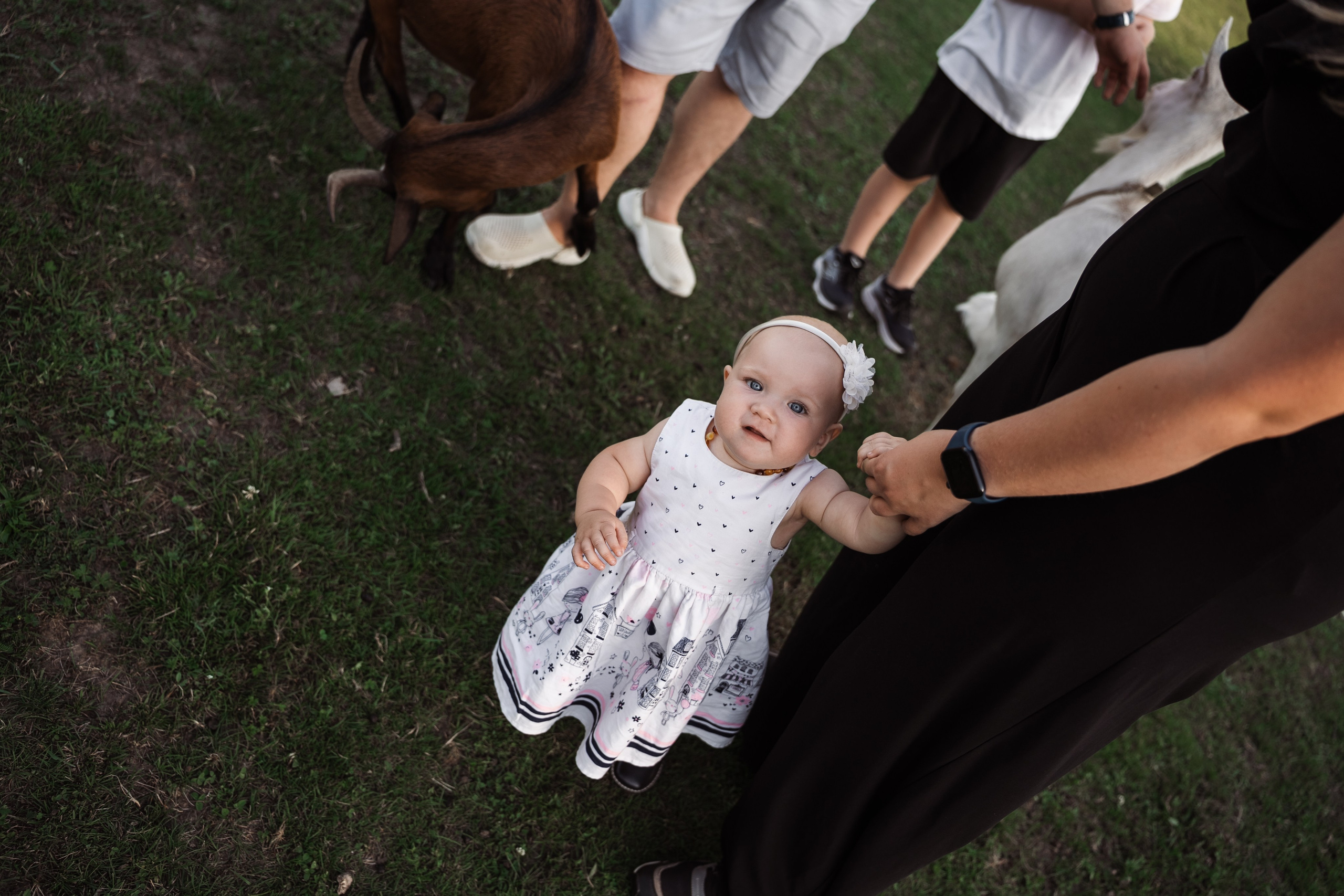 Святкування 1-го дня народження на овечій фермі. Family photographer in Kiev Natalia Shkavron