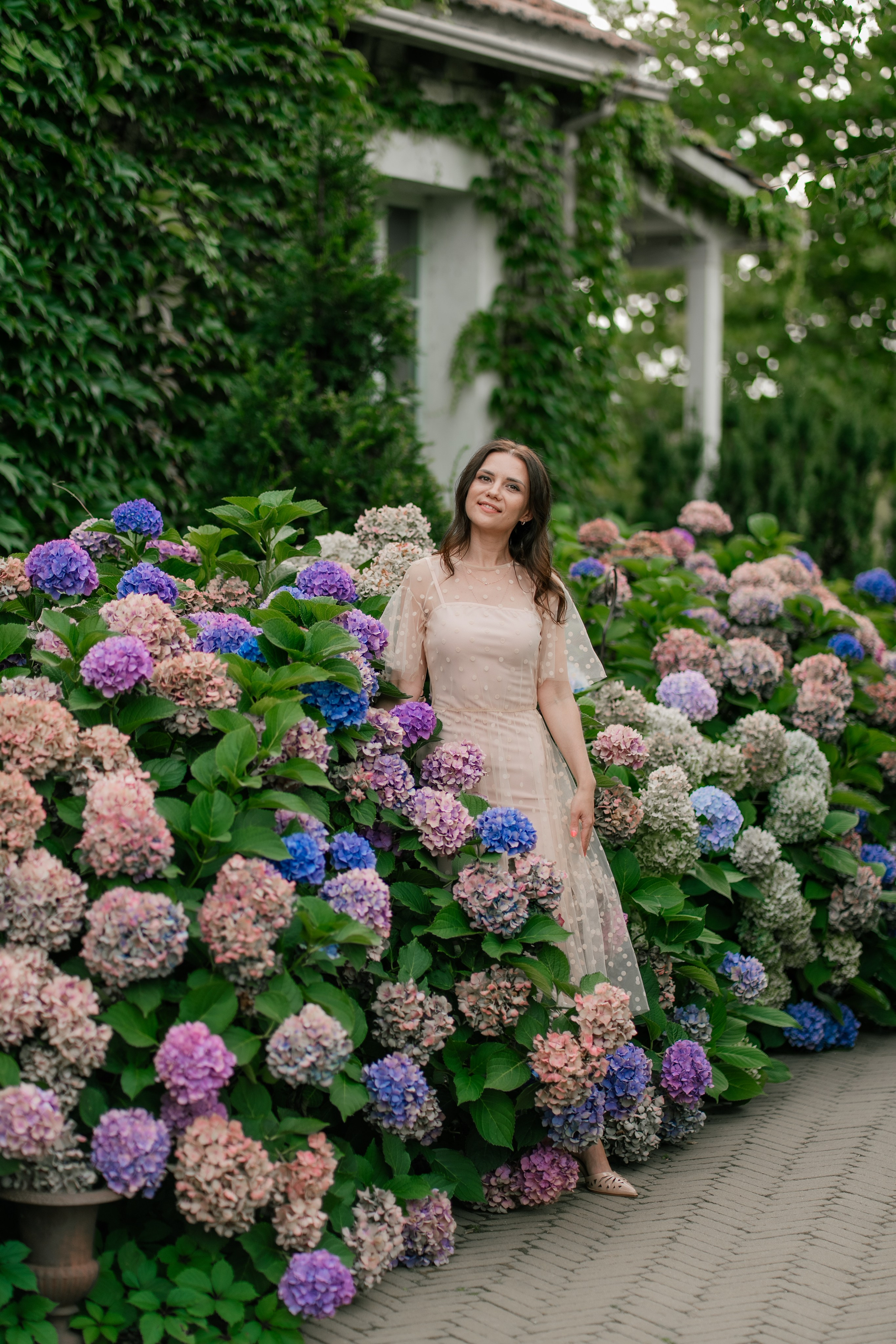 Фотосеся індивідуальна в гортензіях. Сімейний фотограф Київ Наталія Шкаврон