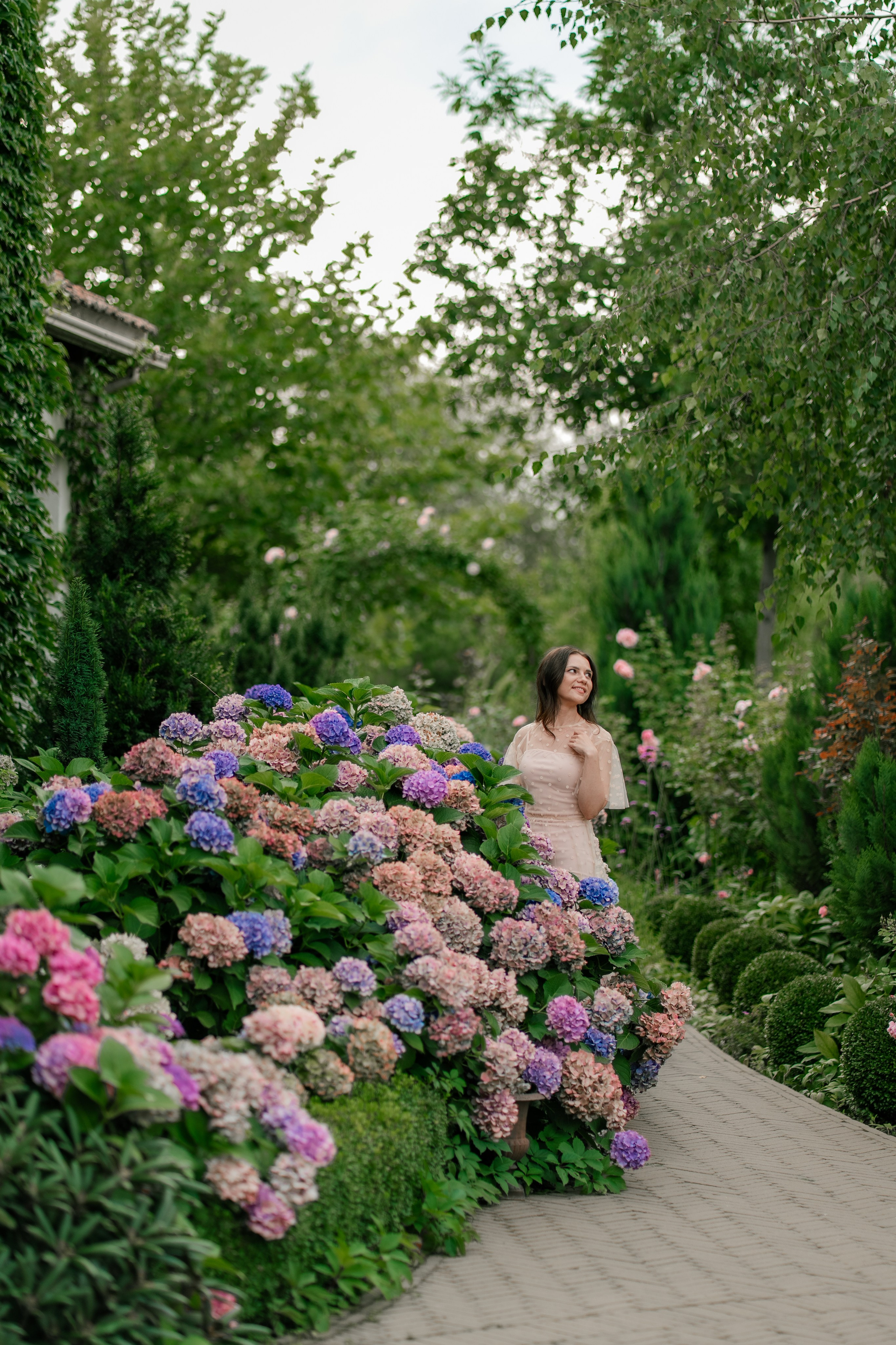 Фотосеся індивідуальна в гортензіях. Сімейний фотограф Київ Наталія Шкаврон