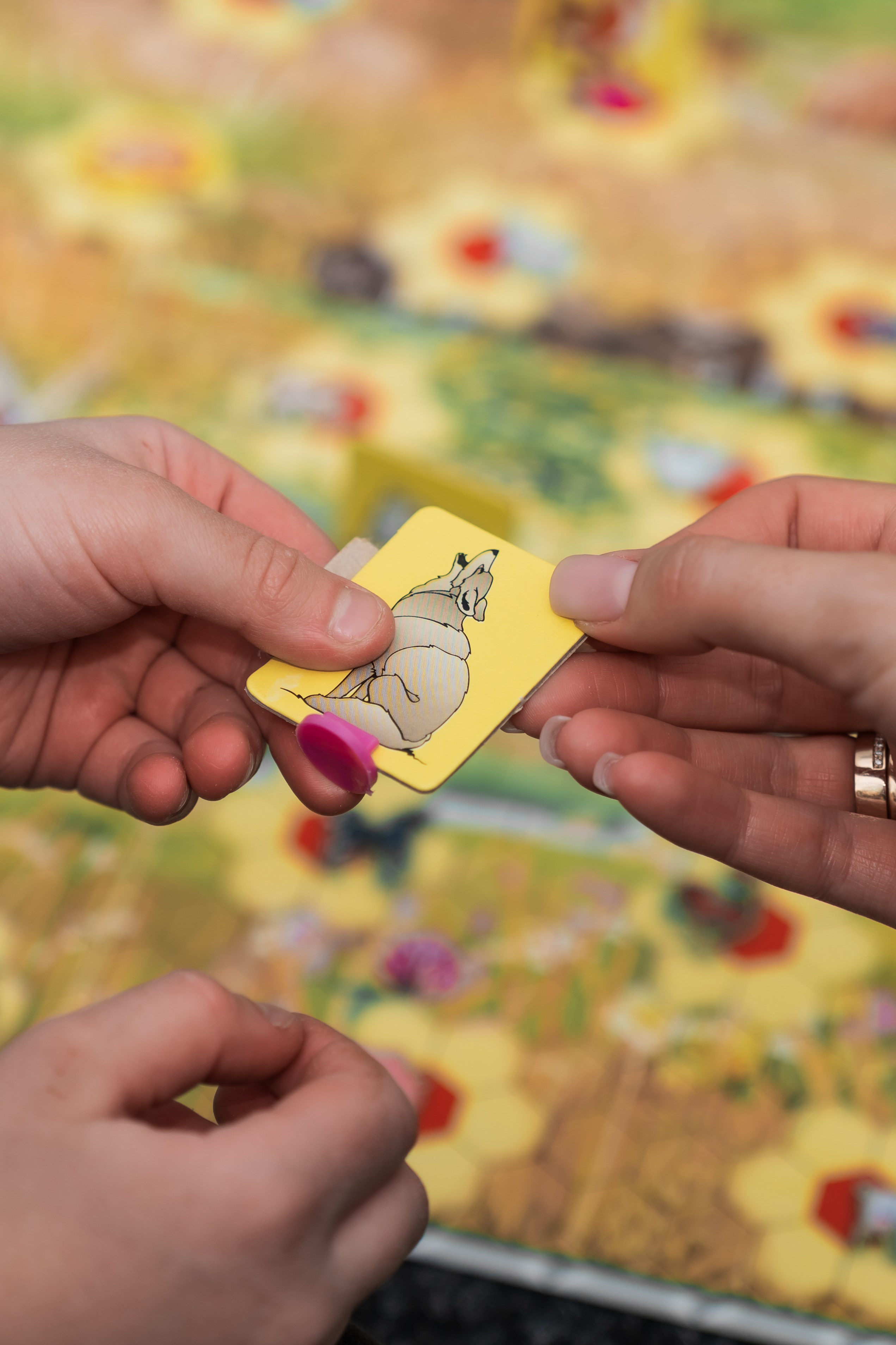 Дитячий психолог. Сімейний фотограф Київ Наталія Шкаврон