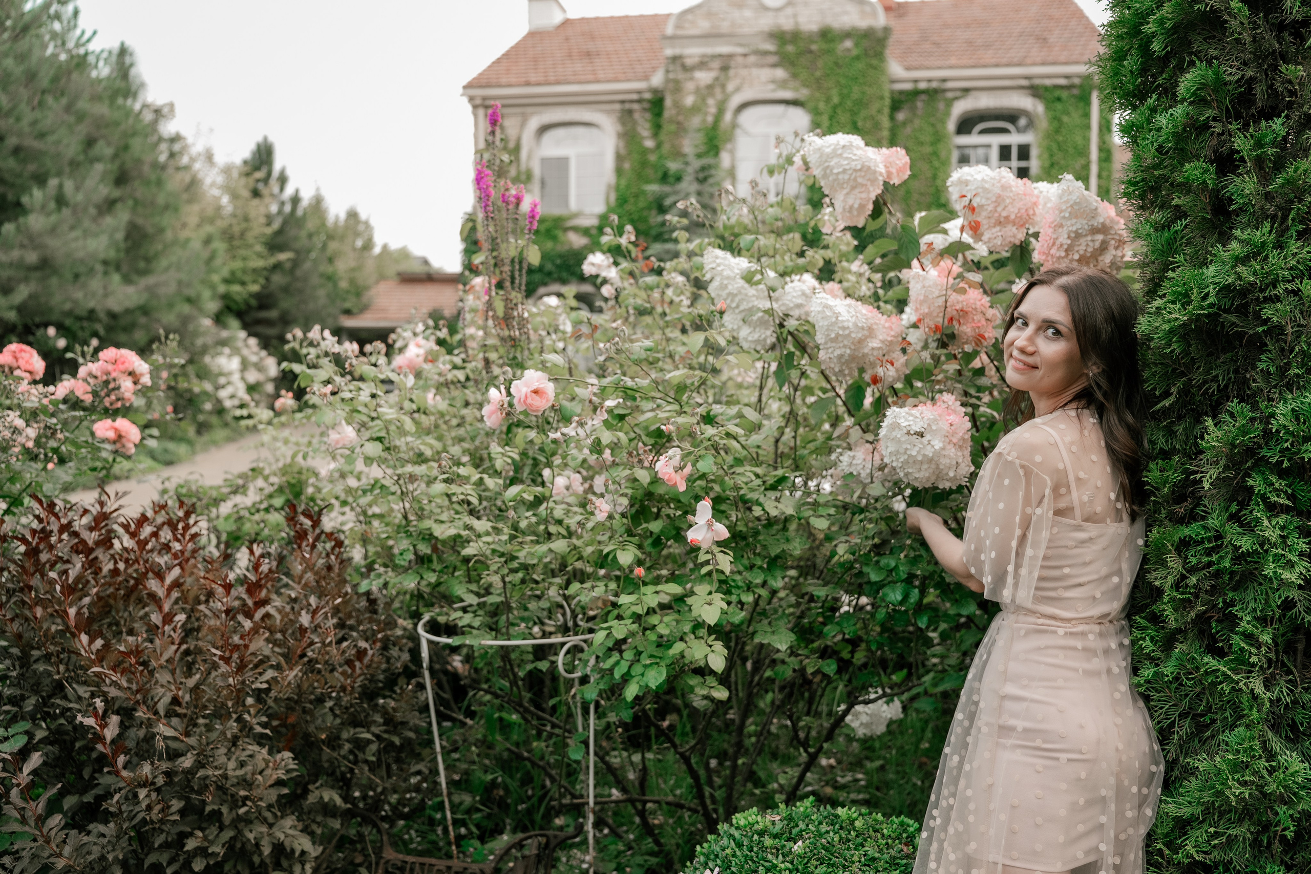 Фотосеся індивідуальна в гортензіях. Сімейний фотограф Київ Наталія Шкаврон