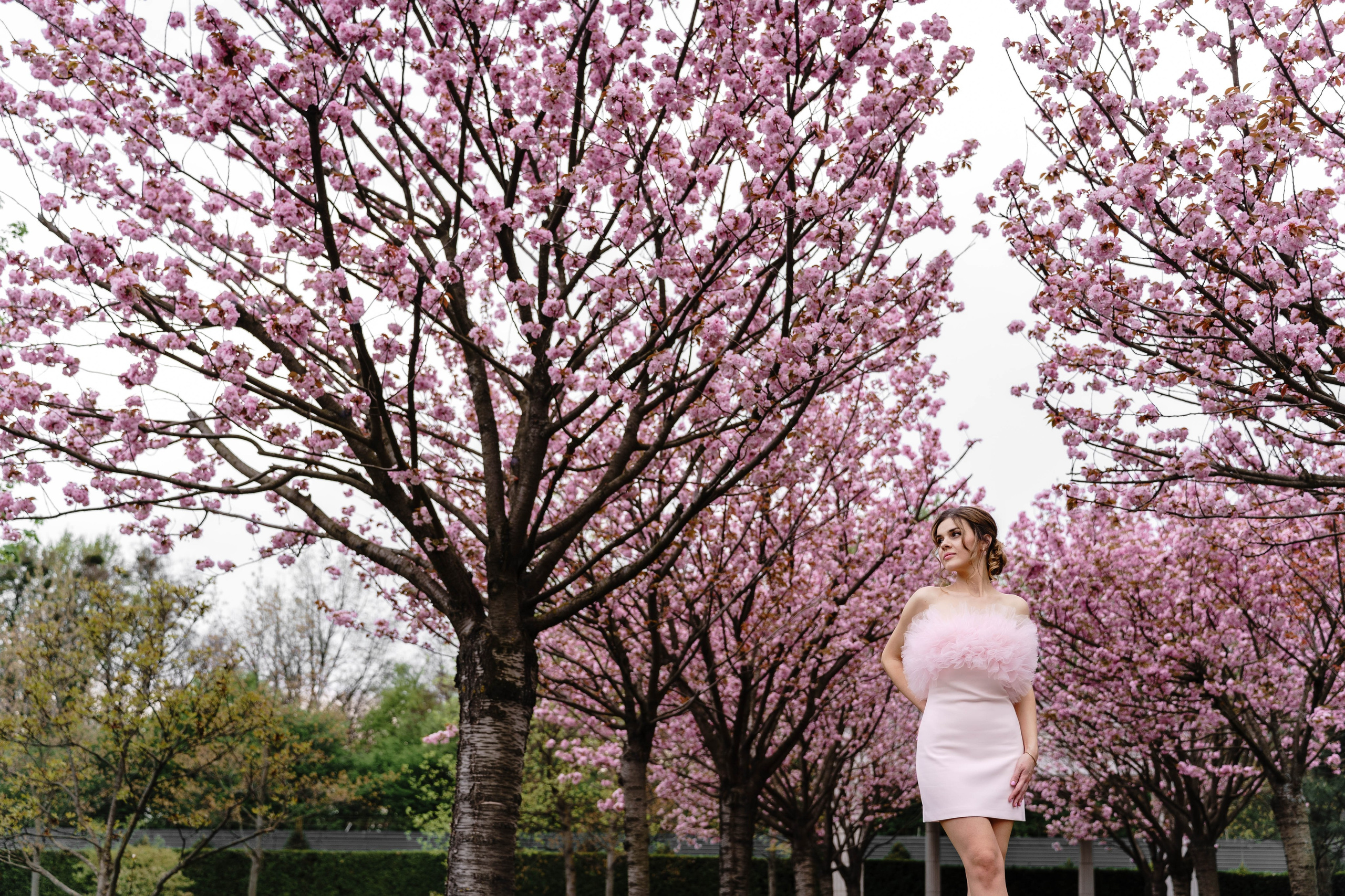 Фотосесія в сакурах. Family photographer in Kiev Natalia Shkavron