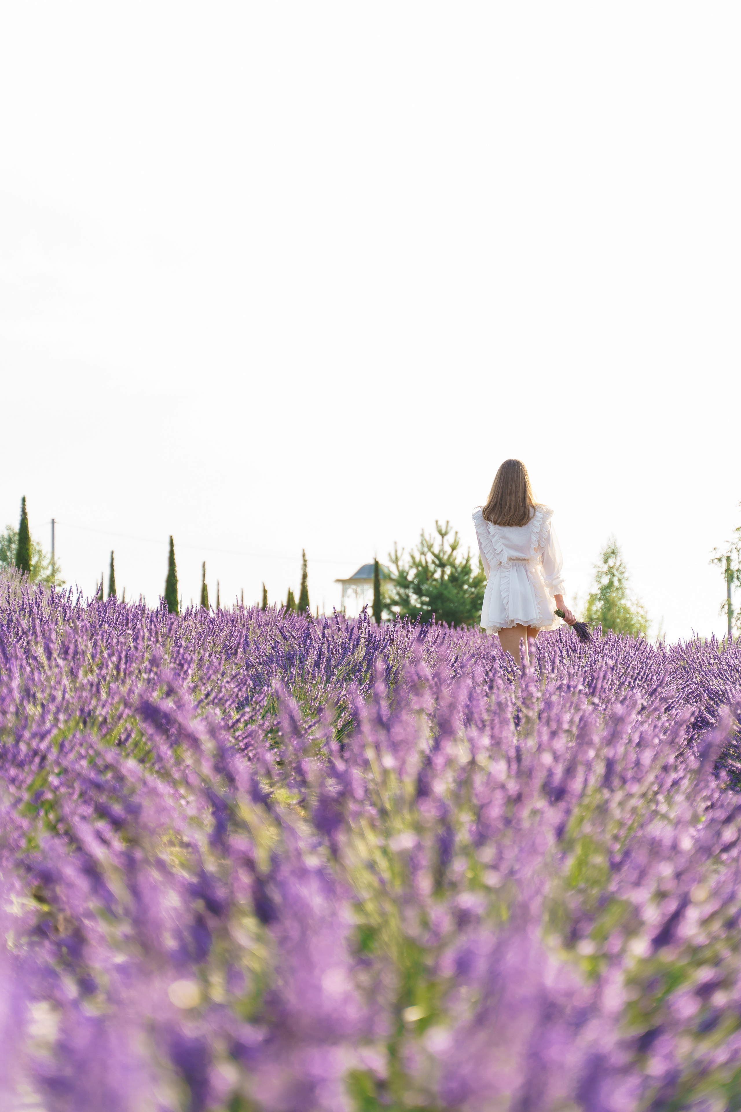 Фотосесія в лаванді у Добропарку. Family photographer in Kiev Natalia Shkavron