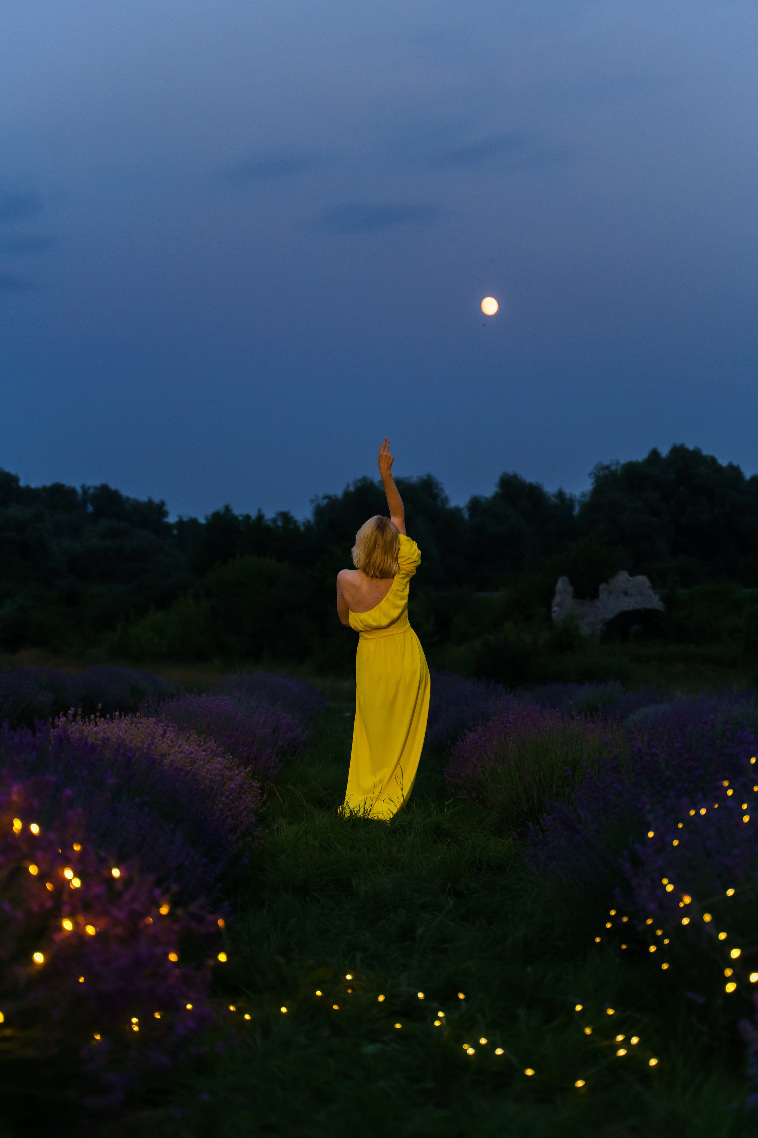 Індивідуальна фотосесія в лаванді в сутінках. Сімейний фотограф Київ Наталія Шкаврон