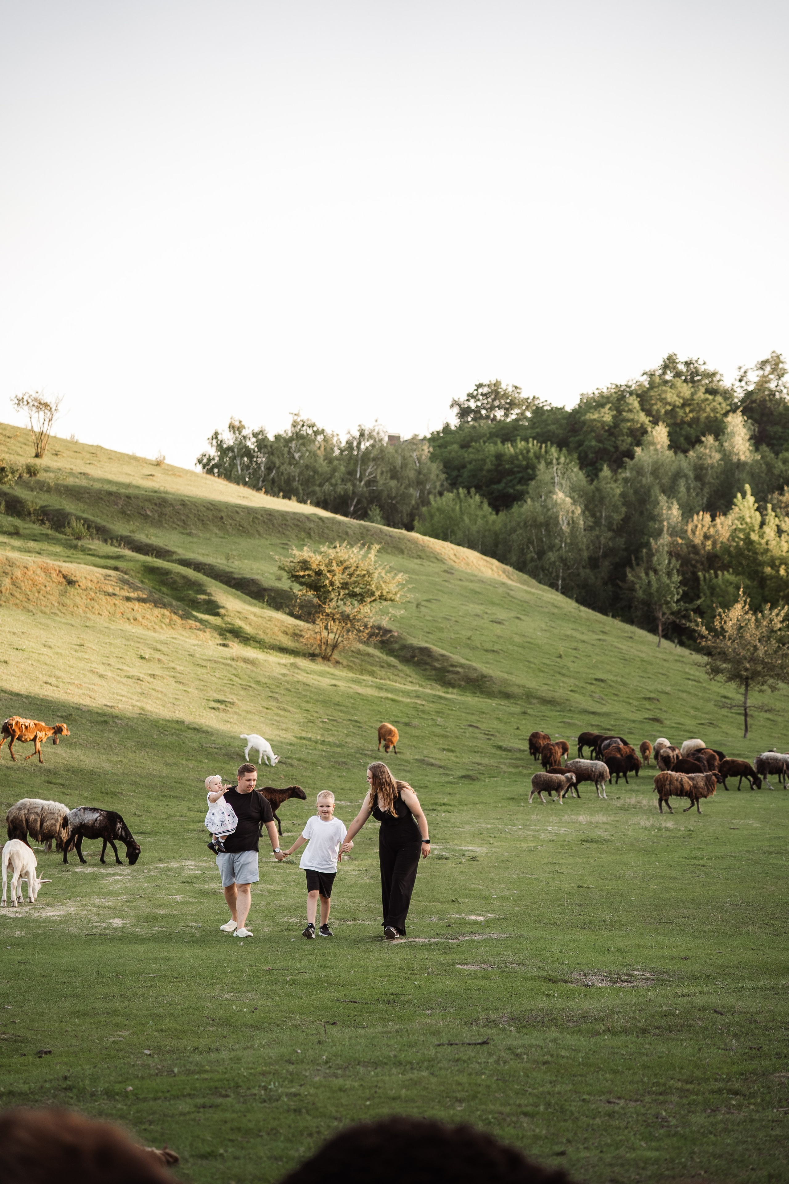 Святкування 1-го дня народження на овечій фермі. Family photographer in Kiev Natalia Shkavron
