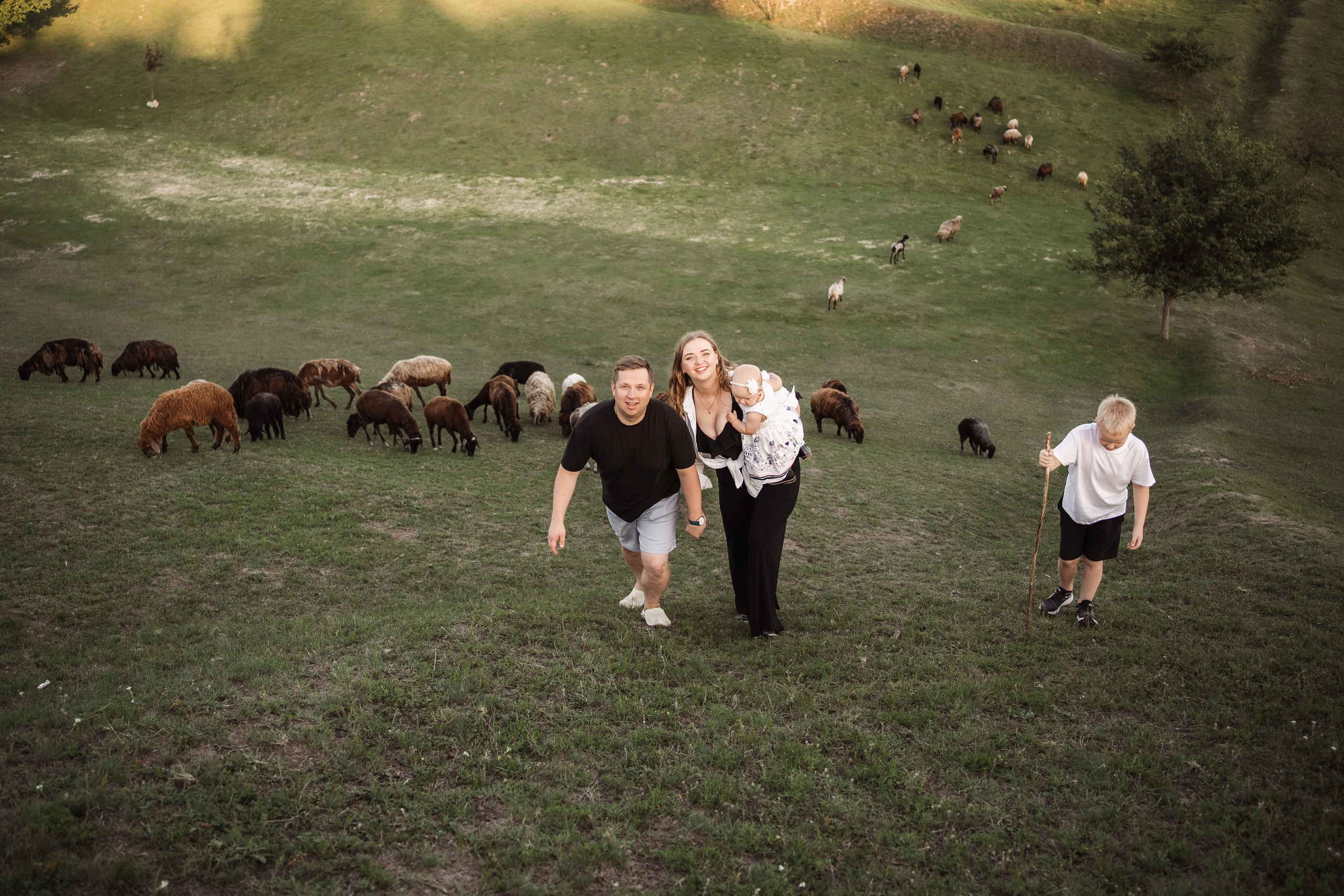 Святкування 1-го дня народження на овечій фермі. Family photographer in Kiev Natalia Shkavron