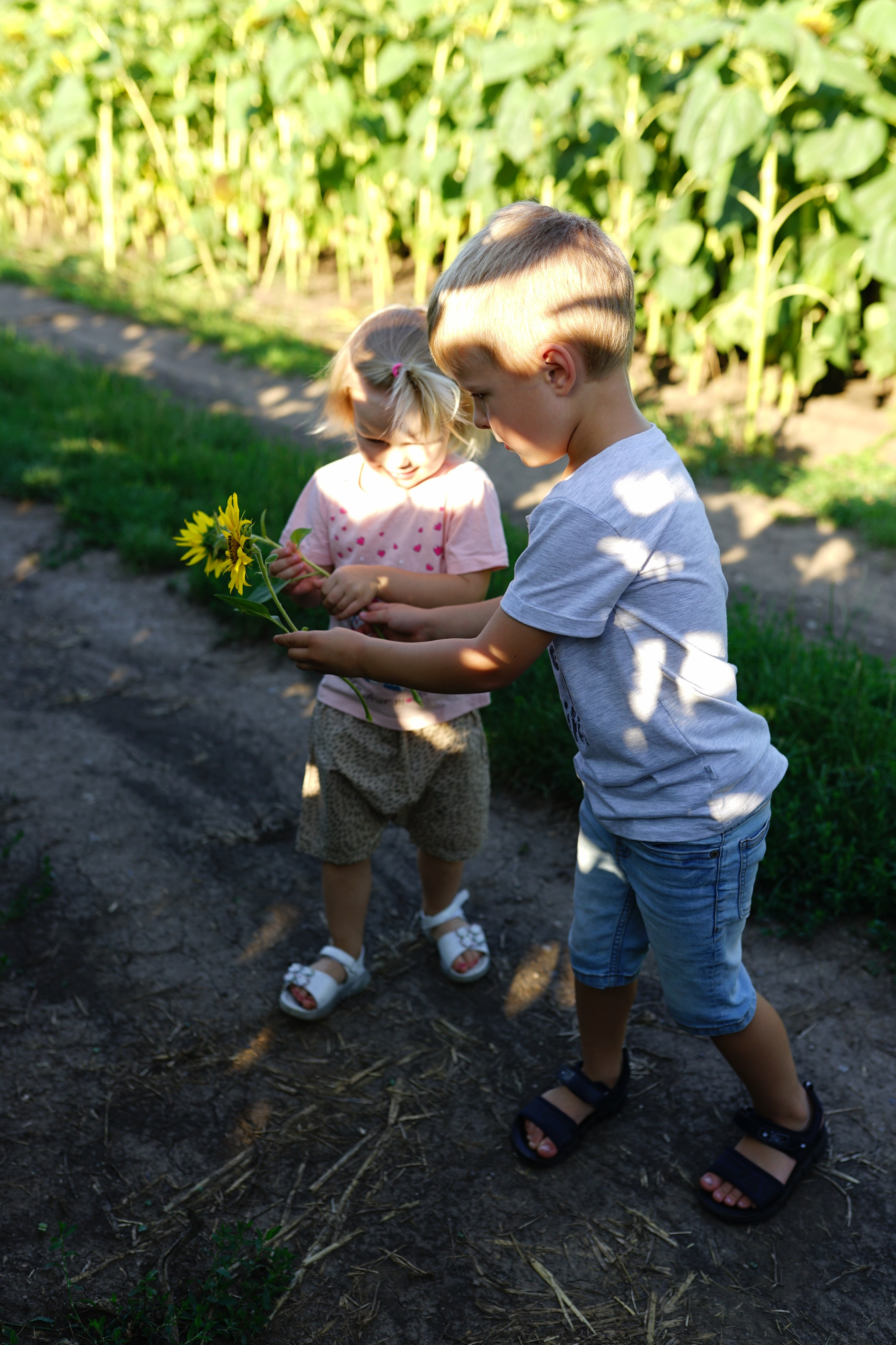 Сімейна фотосесія з кавунами. Family photographer in Kiev Natalia Shkavron