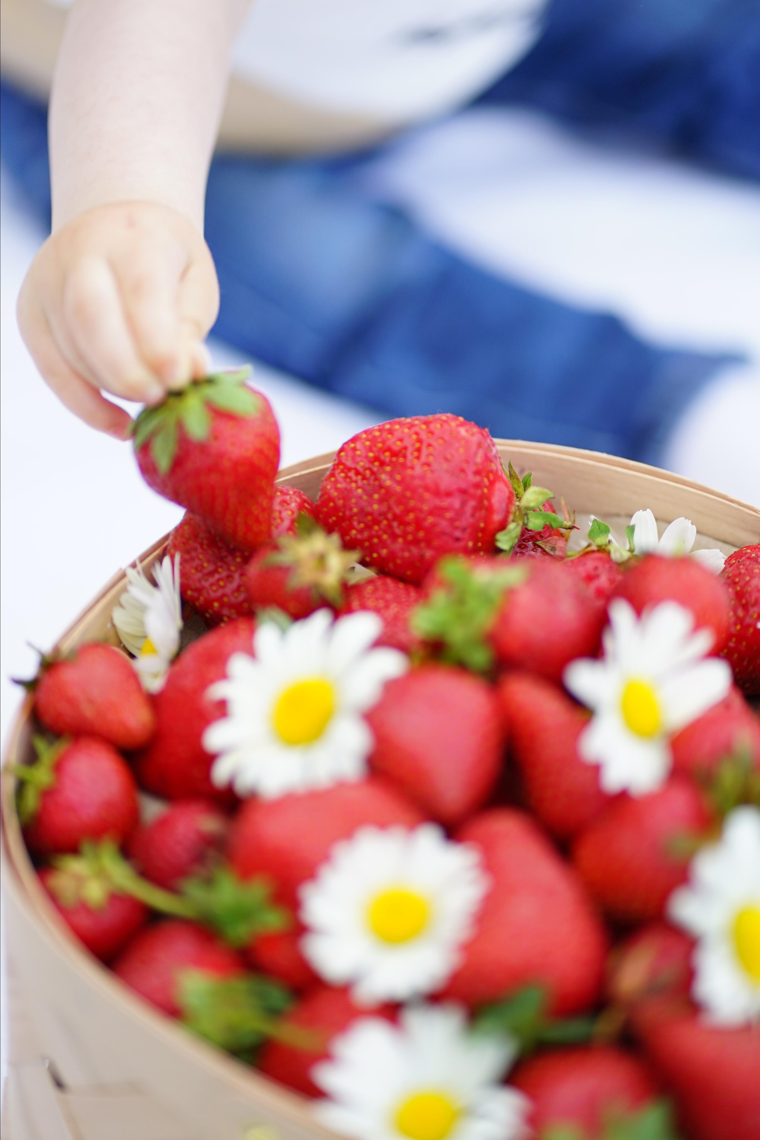Сімейна фотосесія в стилі пікнік. Сімейний фотограф Київ Наталія Шкаврон