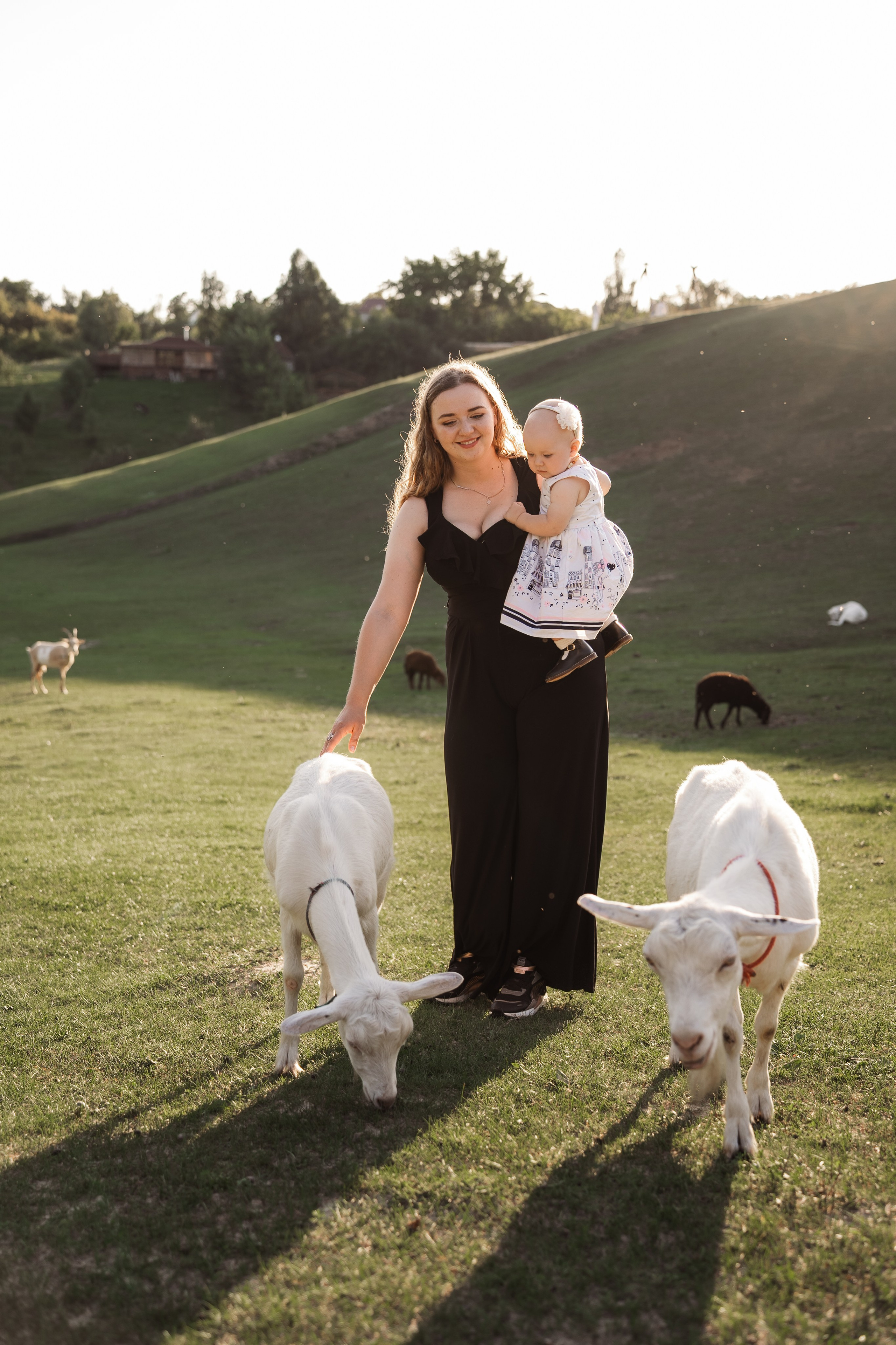 Святкування 1-го дня народження на овечій фермі. Family photographer in Kiev Natalia Shkavron