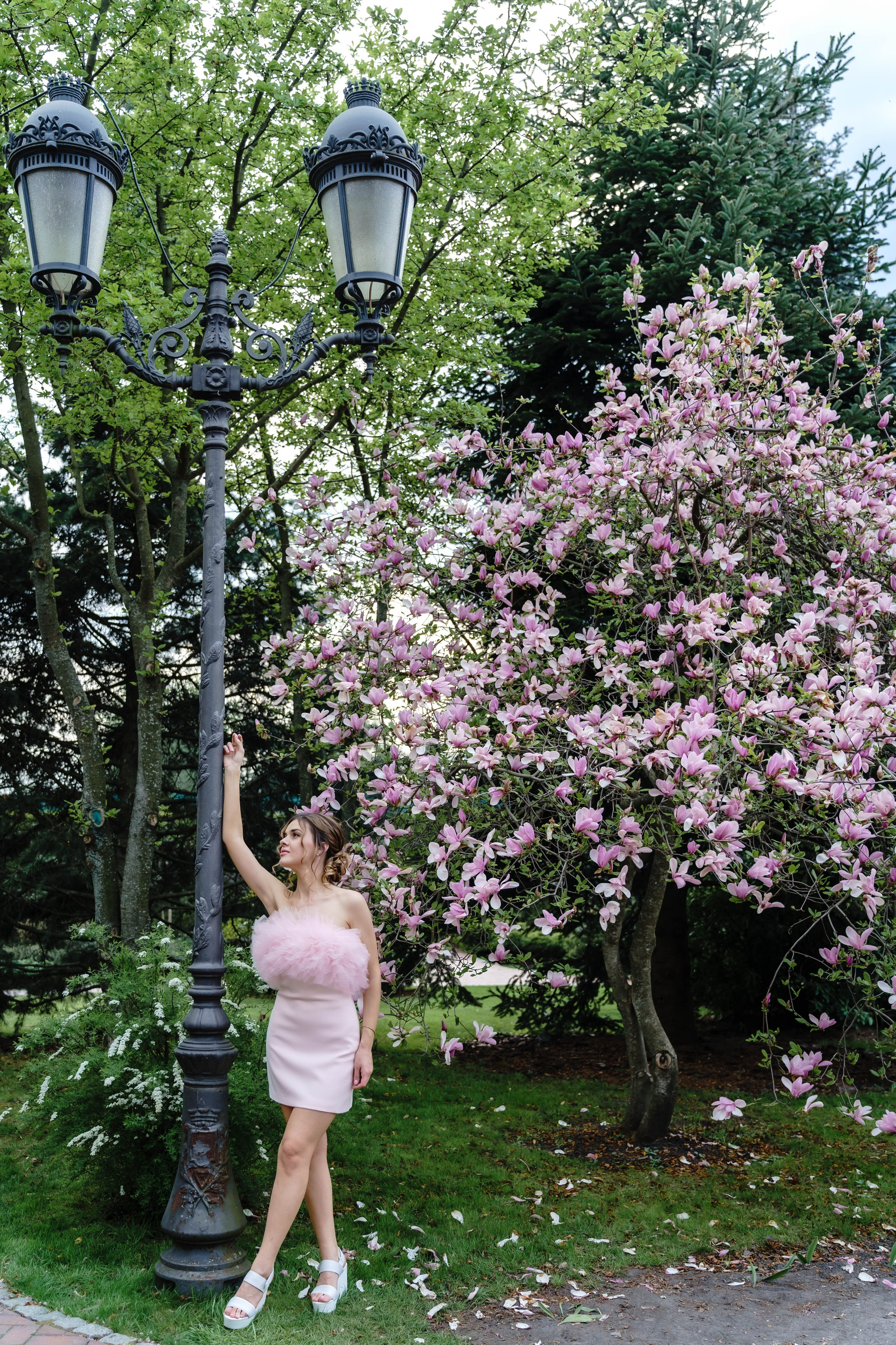 Фотосесія в магноліях. Сімейний фотограф Київ Наталія Шкаврон