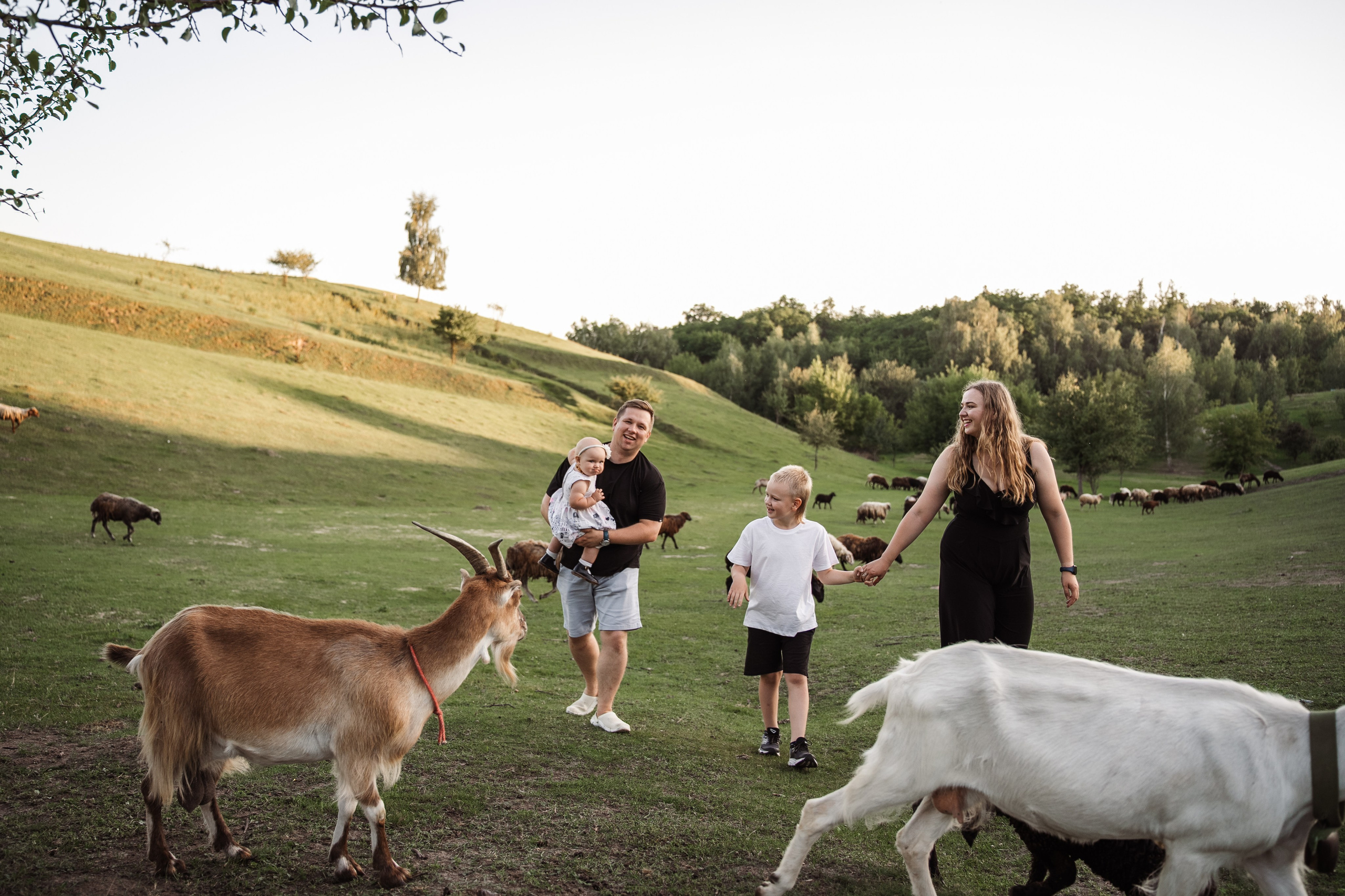 Святкування 1-го дня народження на овечій фермі. Family photographer in Kiev Natalia Shkavron