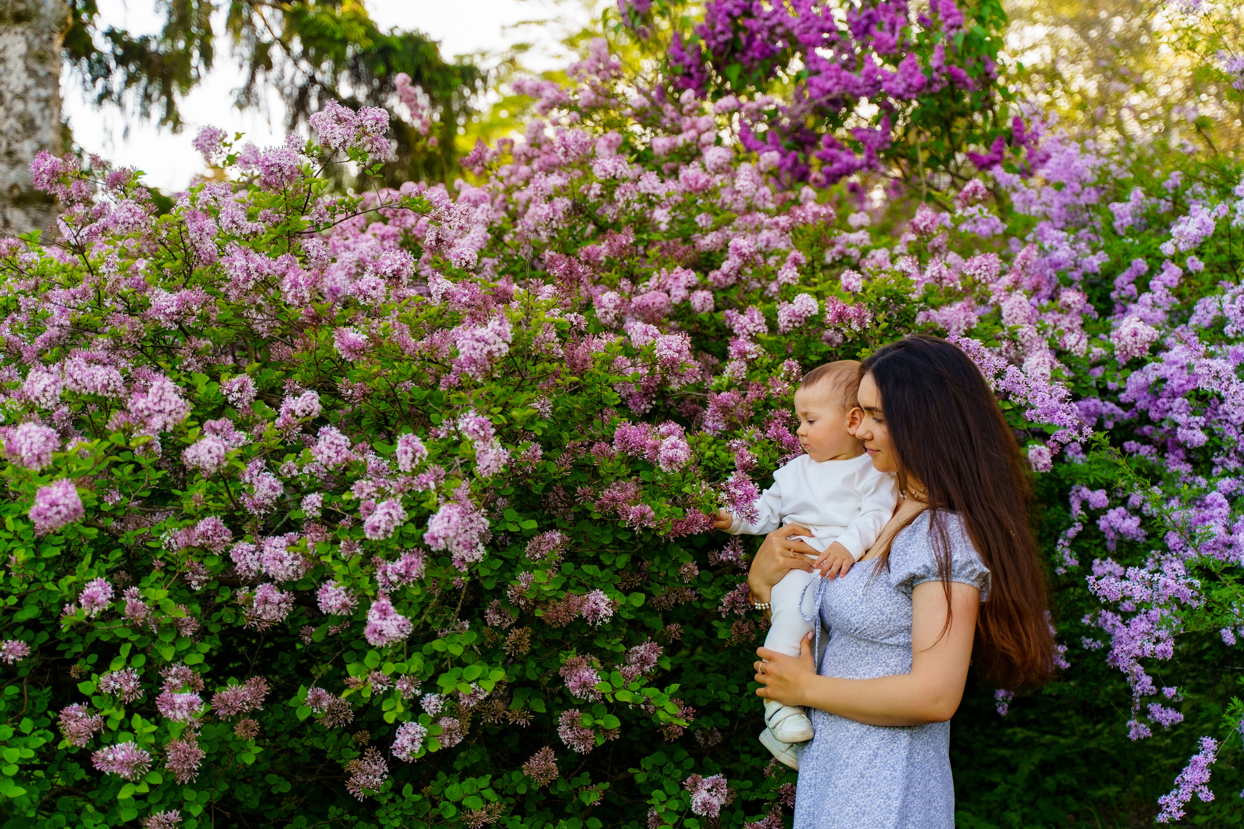 Сімейна фотосесія в бузку Київ. Сімейний фотограф Київ Наталія Шкаврон