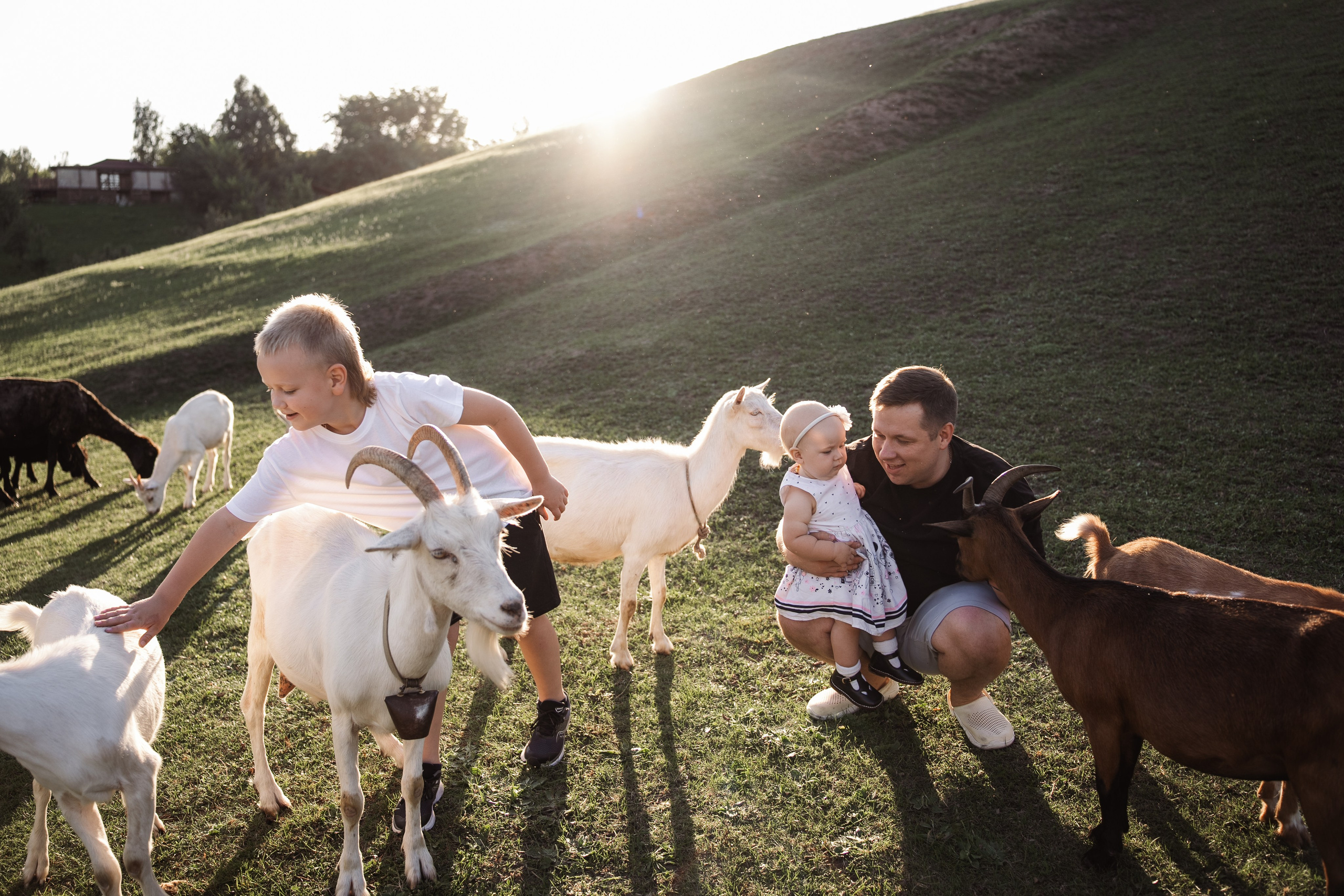 Святкування 1-го дня народження на овечій фермі. Family photographer in Kiev Natalia Shkavron