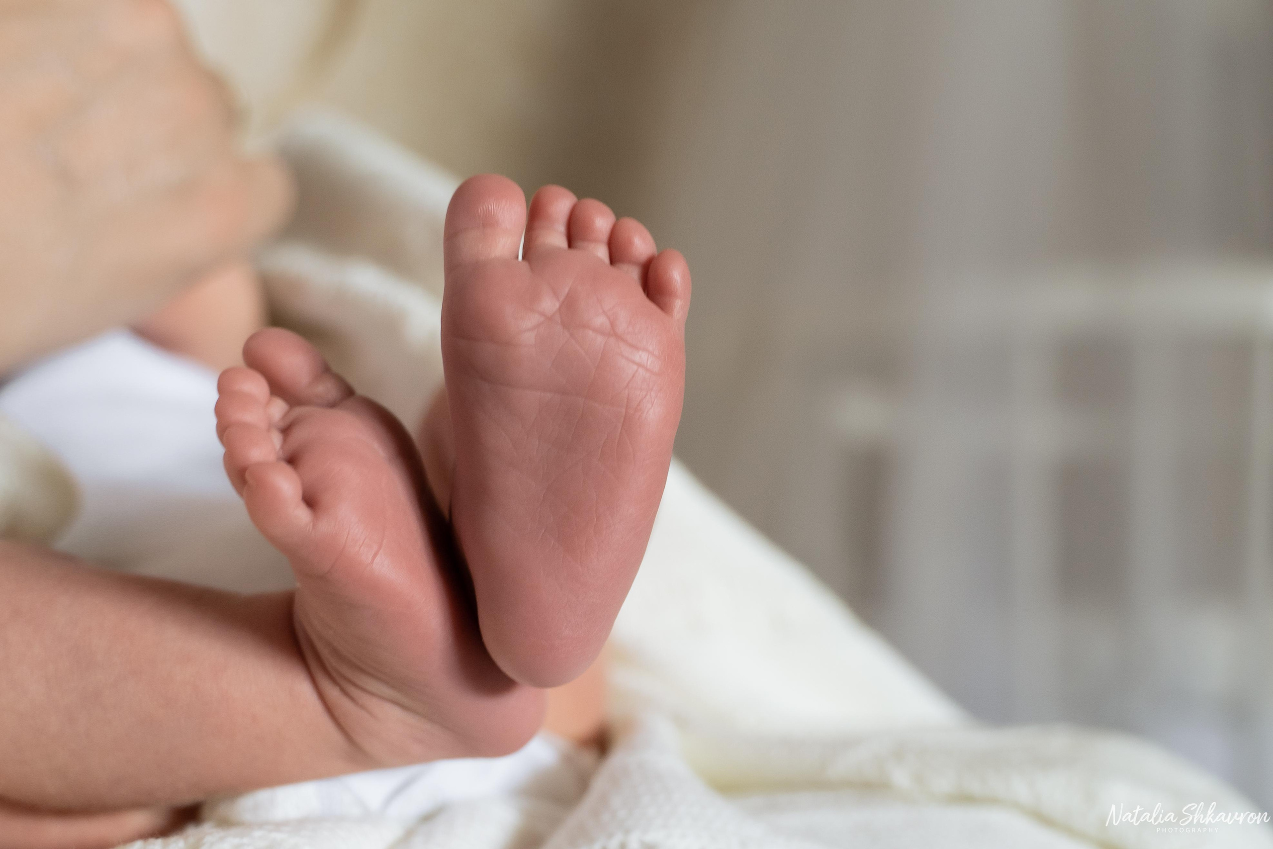 фотограф новонароджених, фотограф вагітності