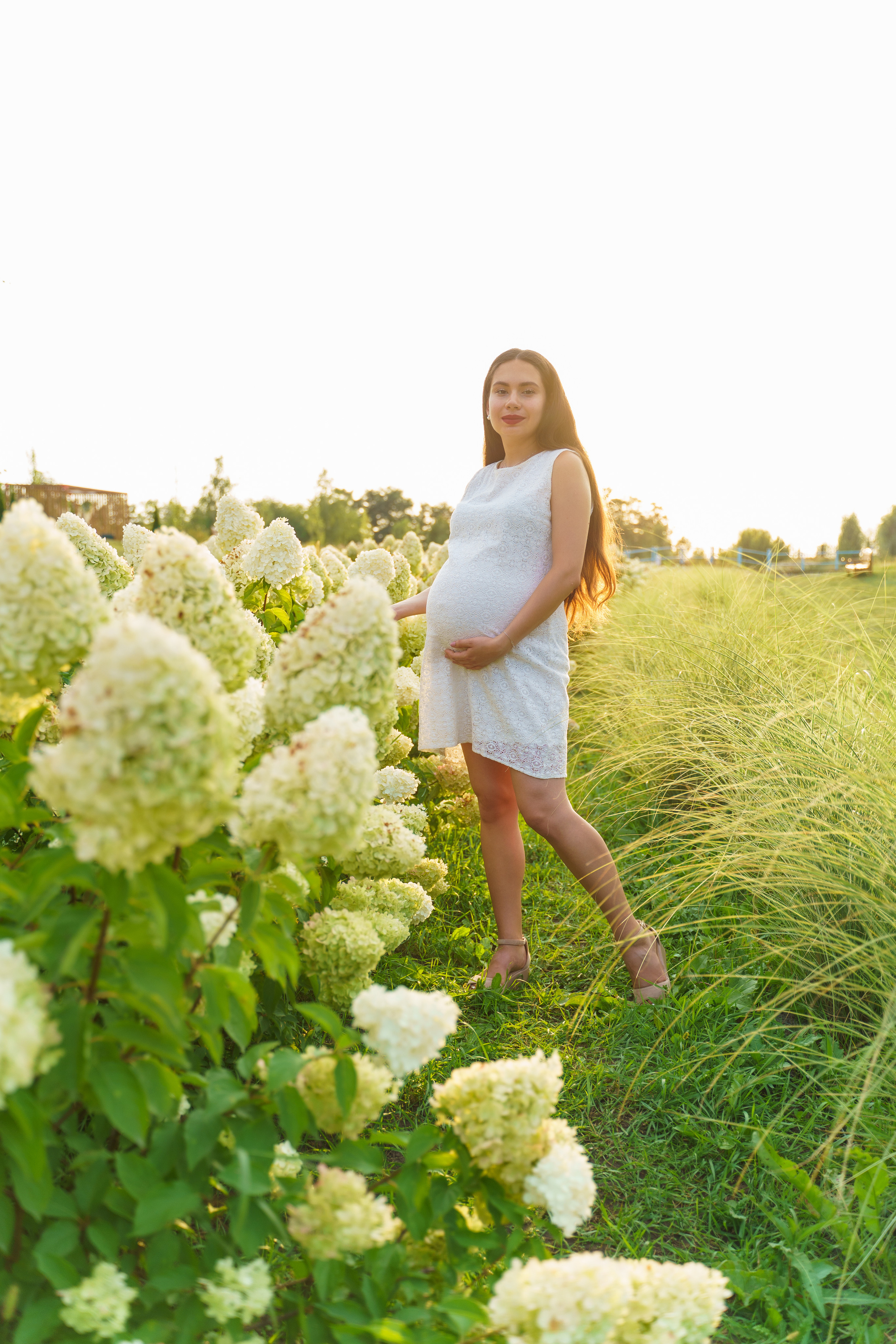 фотограф київ, сімейний фотограф київ, фотосесія вагітності, фотограф для вагітних,  фотосесія в гортензіях, фотосесія в добропарку, 