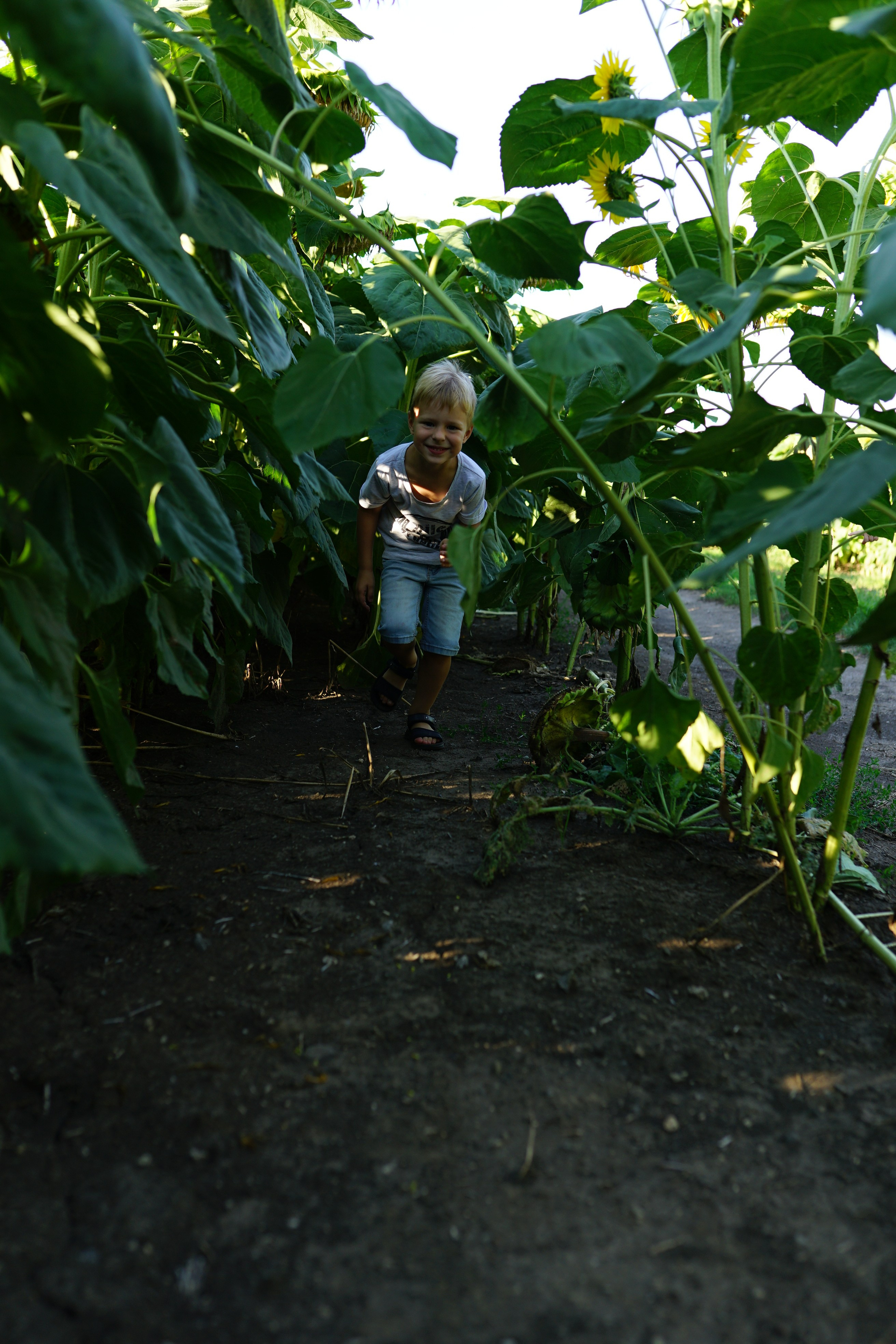 Сімейна фотосесія з кавунами. Family photographer in Kiev Natalia Shkavron
