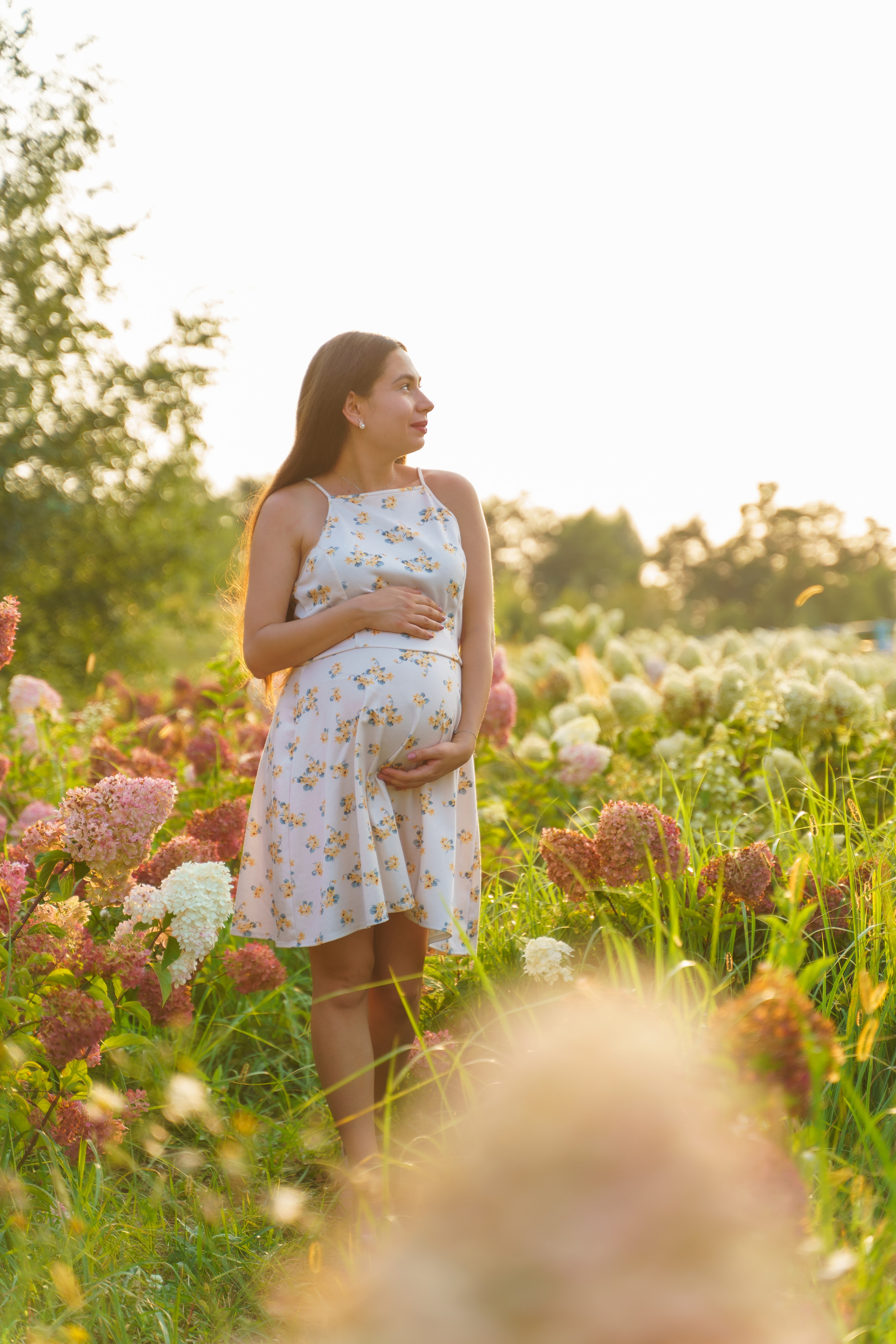 фотограф київ, сімейний фотограф київ, фотосесія вагітності, фотограф для вагітних,  фотосесія в гортензіях, 