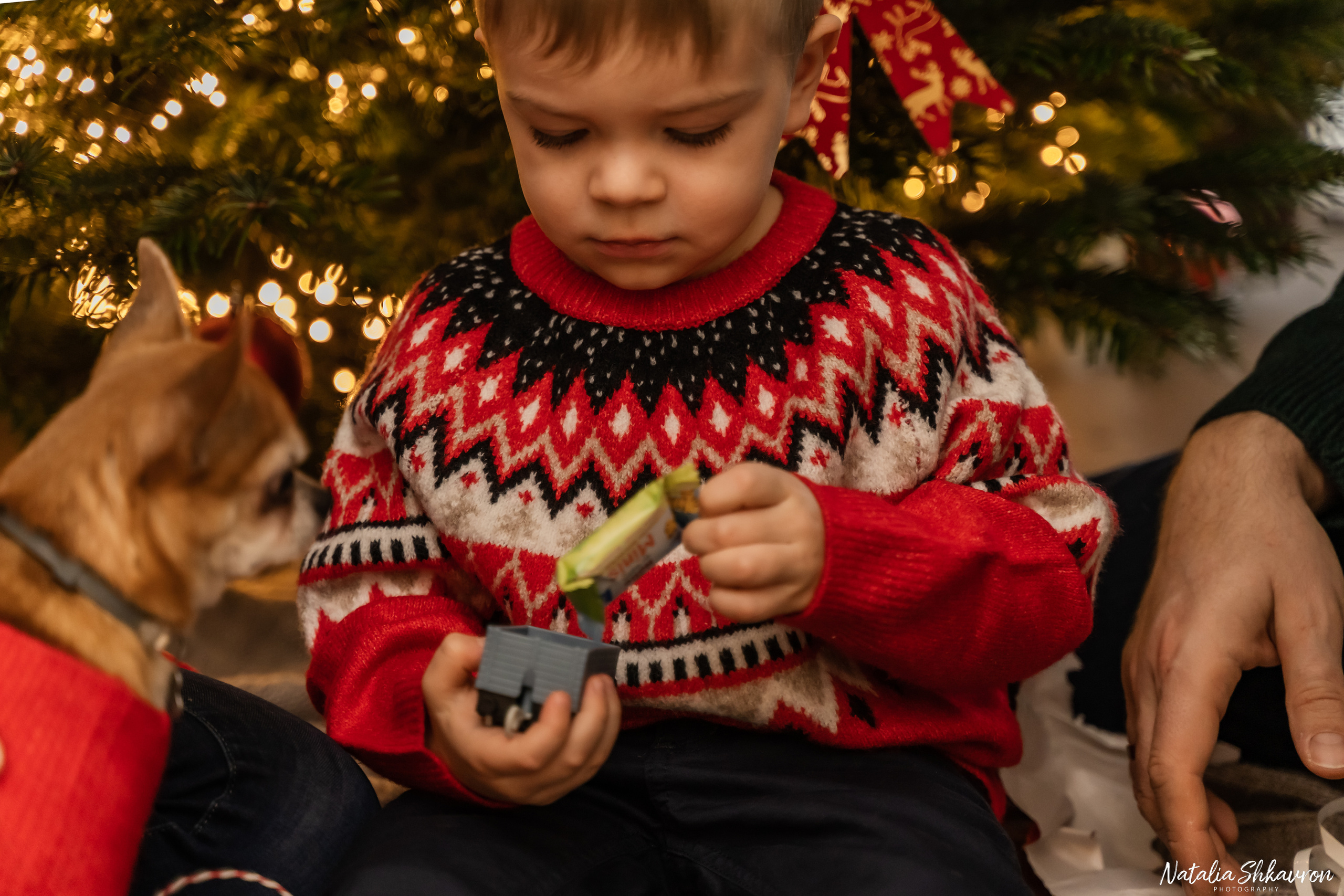 Новорічна фотосесія вдома. Сімейний фотограф Київ Наталія Шкаврон