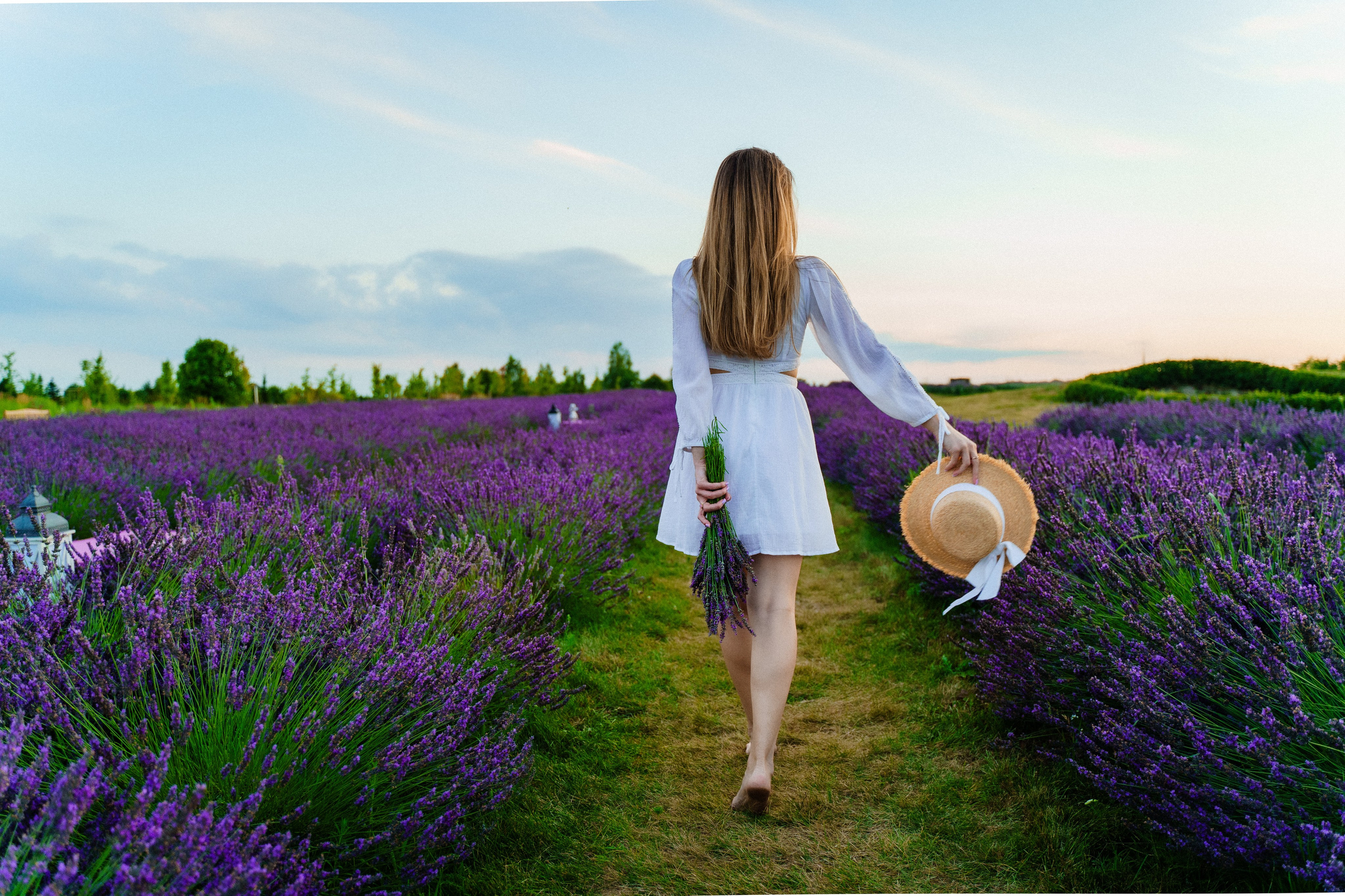 Фотосесія в лавандовому полі, індивідуальна фотосесія, фотосесія в лаванді, фотограф київ, Фотосесія в лавандовому полі, Фотосесія на лавандовому полі в Україні, Сертификат на фотосессию, Фотосесія Київ під ключ, Сімейна фотосесія в лаванді, лаванда фото, фото в лаванді в жовтій сукні, фотосесія в лаванді в жовтій сукнііндивідуальна фотосесія, фотосесія в лаванді, фотограф київ,  Фотосесія в лавандовому полі, Фотосесія на лавандовому полі в Україні, Сертификат на фотосессию, Фотосесія Київ під ключ, Сімейна фотосесія в лаванді, лаванда фото, девушка в лавандовом поле, девушка в лавандовом поле фото, фотосессия фото в лавандовом поле, прованс фотосессия фото в лавандовом поле, фото в лаванде идеи, фото в лаванді, фотосесія у лавандовому полі, київський прованс, фотосесія в жовтій сукні у лаванді, індивідуальна фотосесія, фотосесія в лаванді, фотограф київ,  Фотосесія в лавандовому полі, Фотосесія на лавандовому полі в Україні, Сертификат на фотосессию, Фотосесія Київ під ключ, Сімейна фотосесія в лаванді, лаванда фото, девушка в лавандовом поле, девушка в лавандовом поле фото, фотосессия фото в лавандовом поле, прованс фотосессия фото в лавандовом поле, фото в лаванде идеи, фото в лаванді, фотосесія у лавандовому полі, київський прованс, 