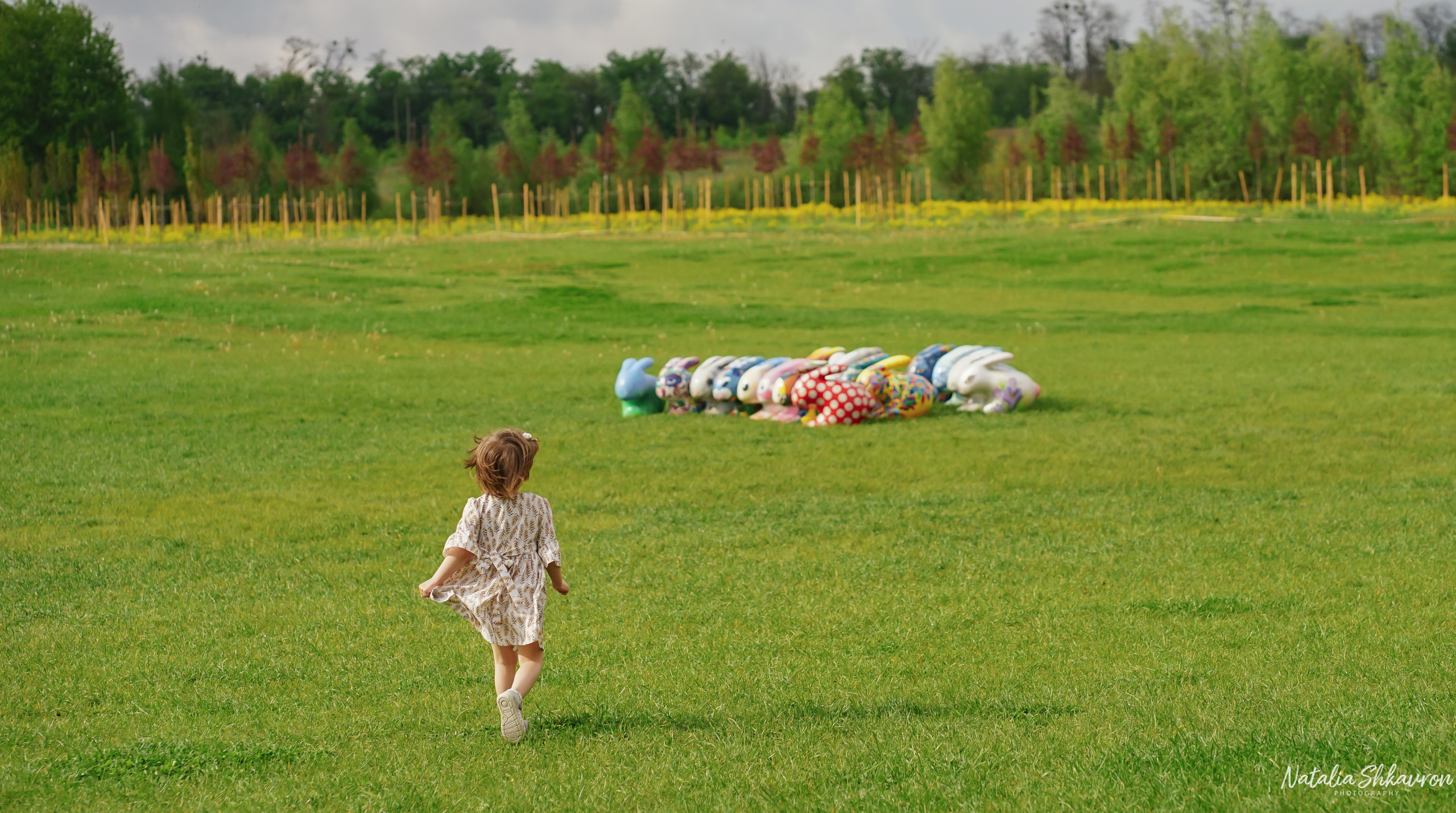 Сімейна фотосесія в тюльпанах. Сімейний фотограф Київ Наталія Шкаврон