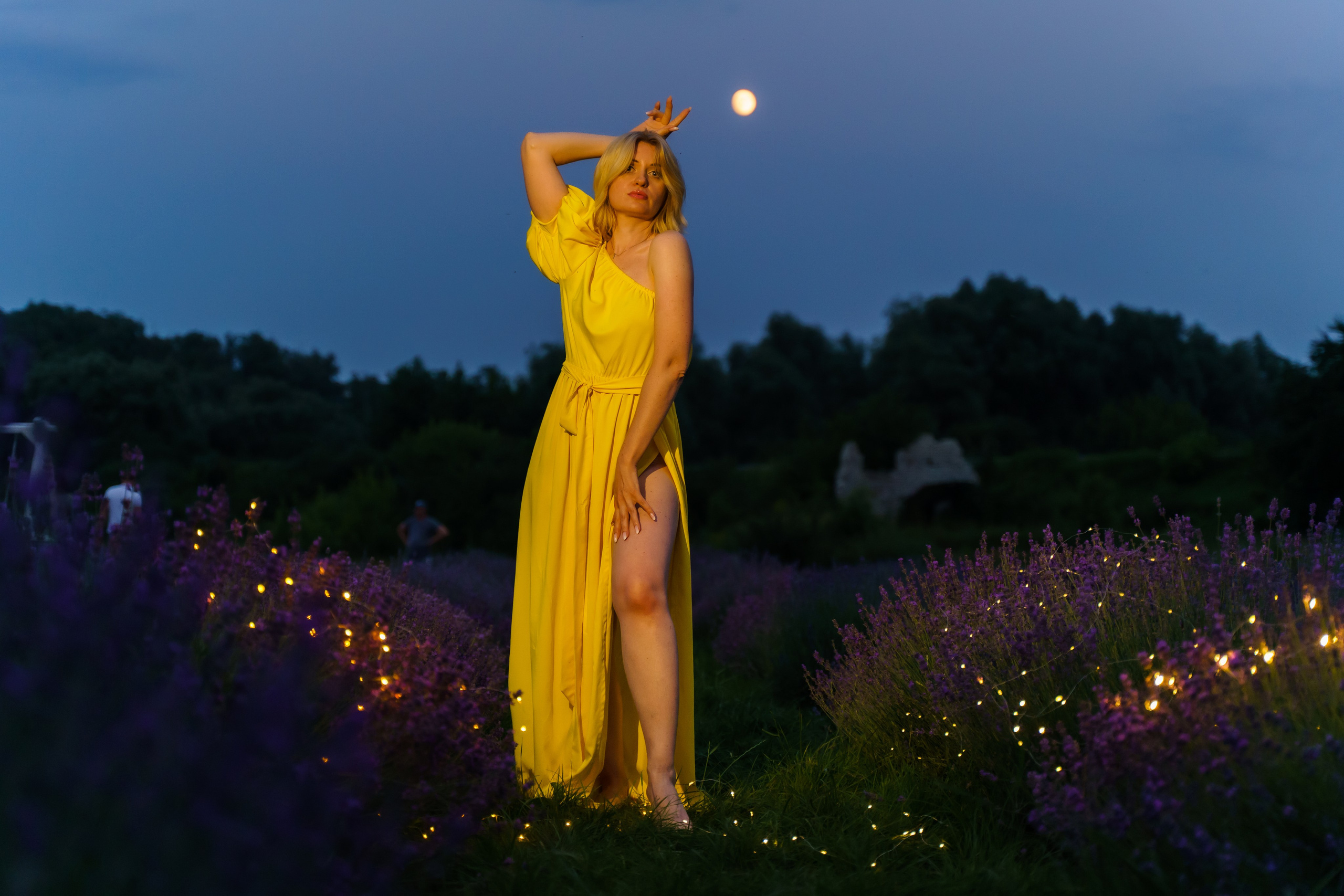 Індивідуальна фотосесія в лаванді в сутінках. Сімейний фотограф Київ Наталія Шкаврон