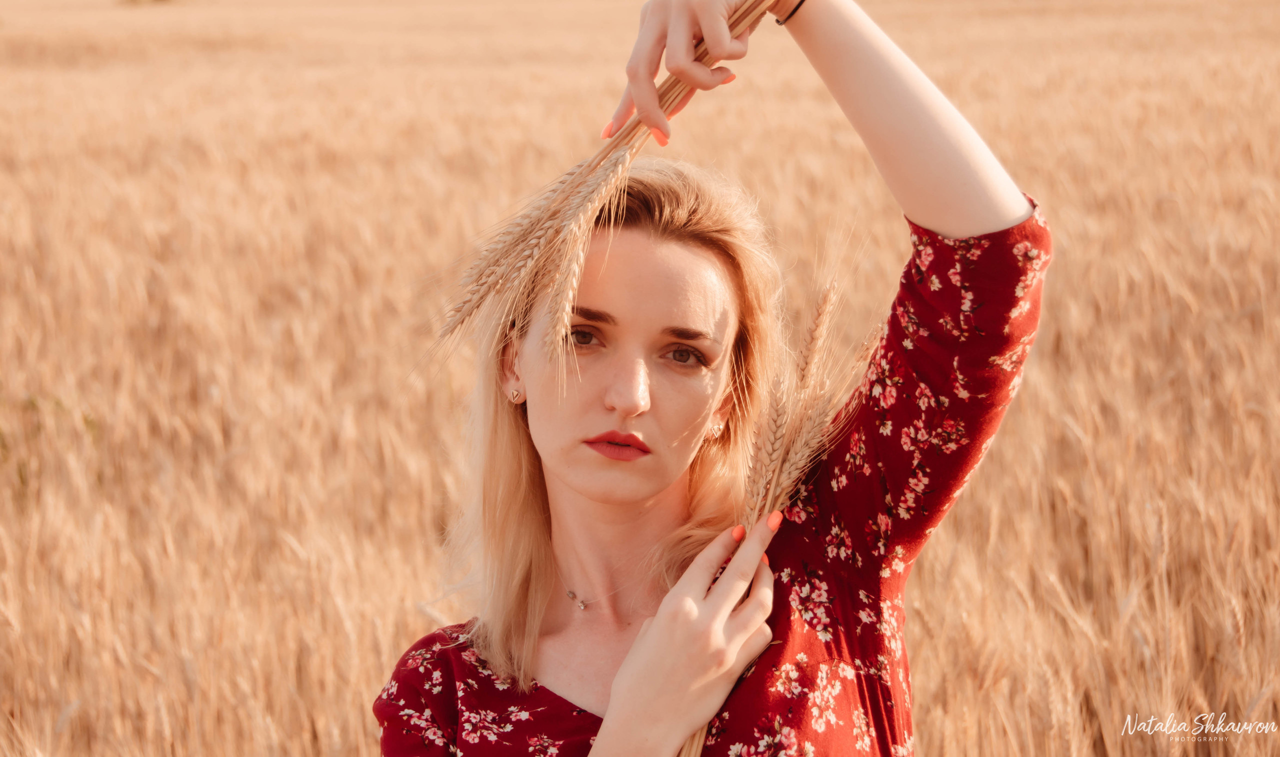 Індивідуальна фотосесія в пшениці. Сімейний фотограф Київ Наталія Шкаврон
