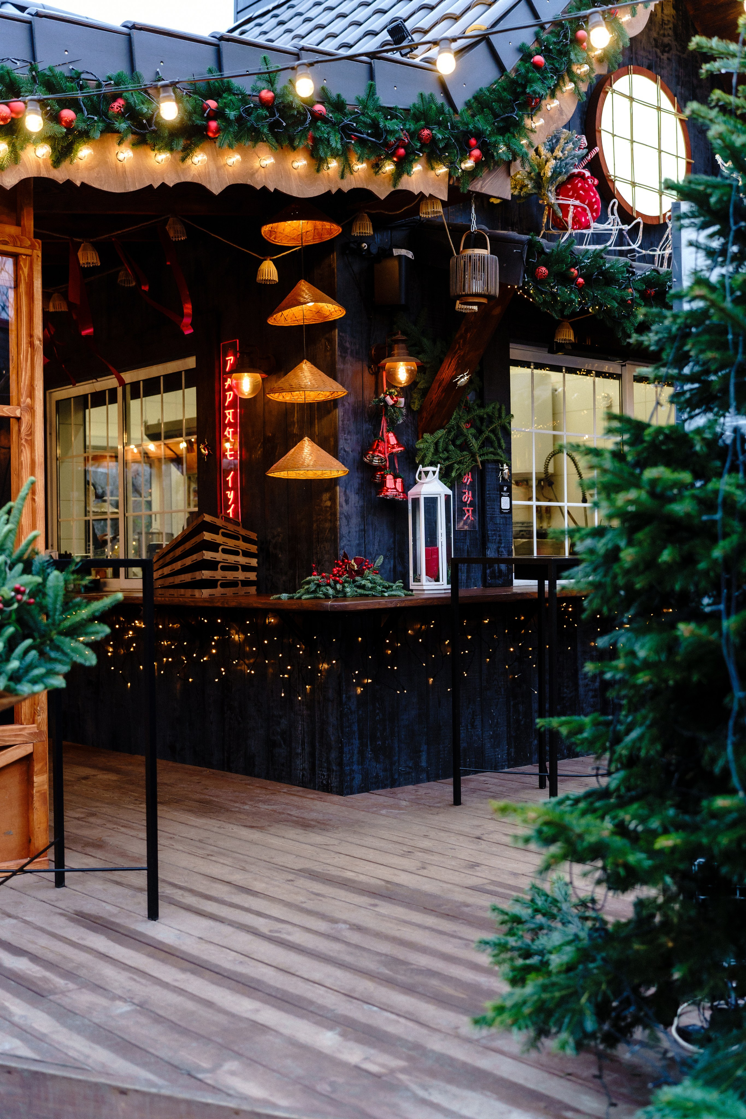 Новорічна індивідуальна фотосесія на ВДНГ. Сімейний фотограф Київ Наталія Шкаврон