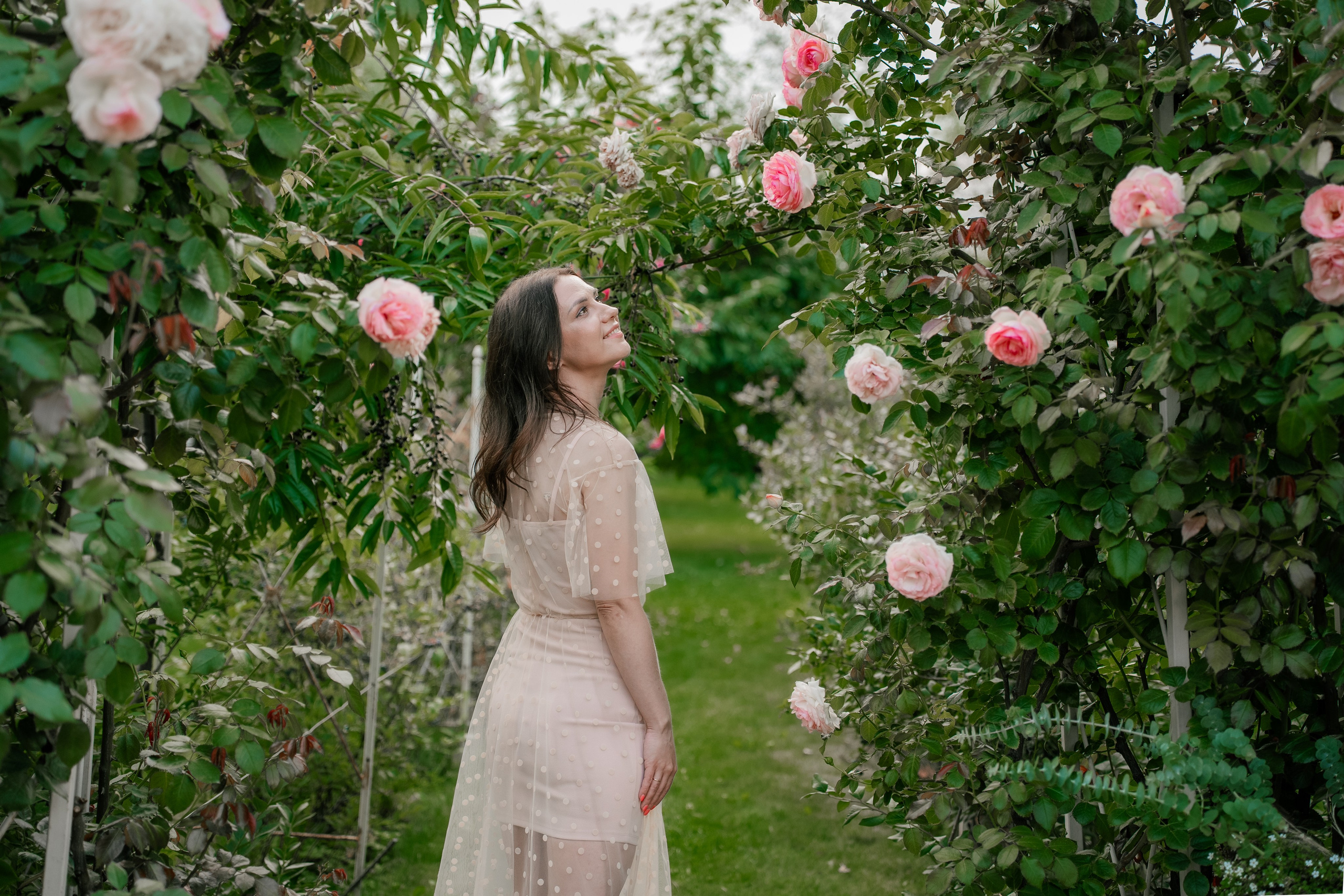 Фотосеся індивідуальна в гортензіях. Сімейний фотограф Київ Наталія Шкаврон