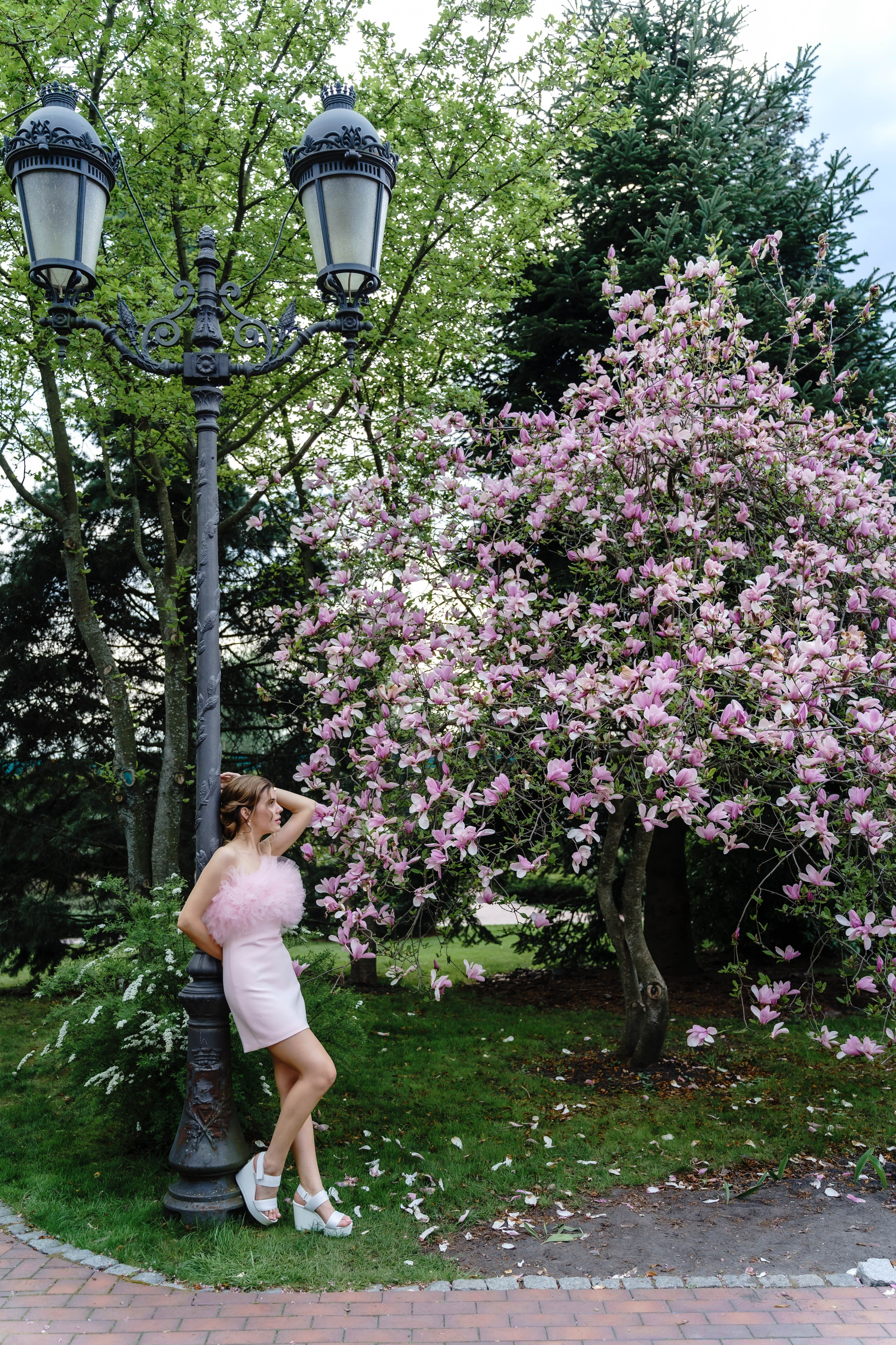 Фотосесія в магноліях. Сімейний фотограф Київ Наталія Шкаврон