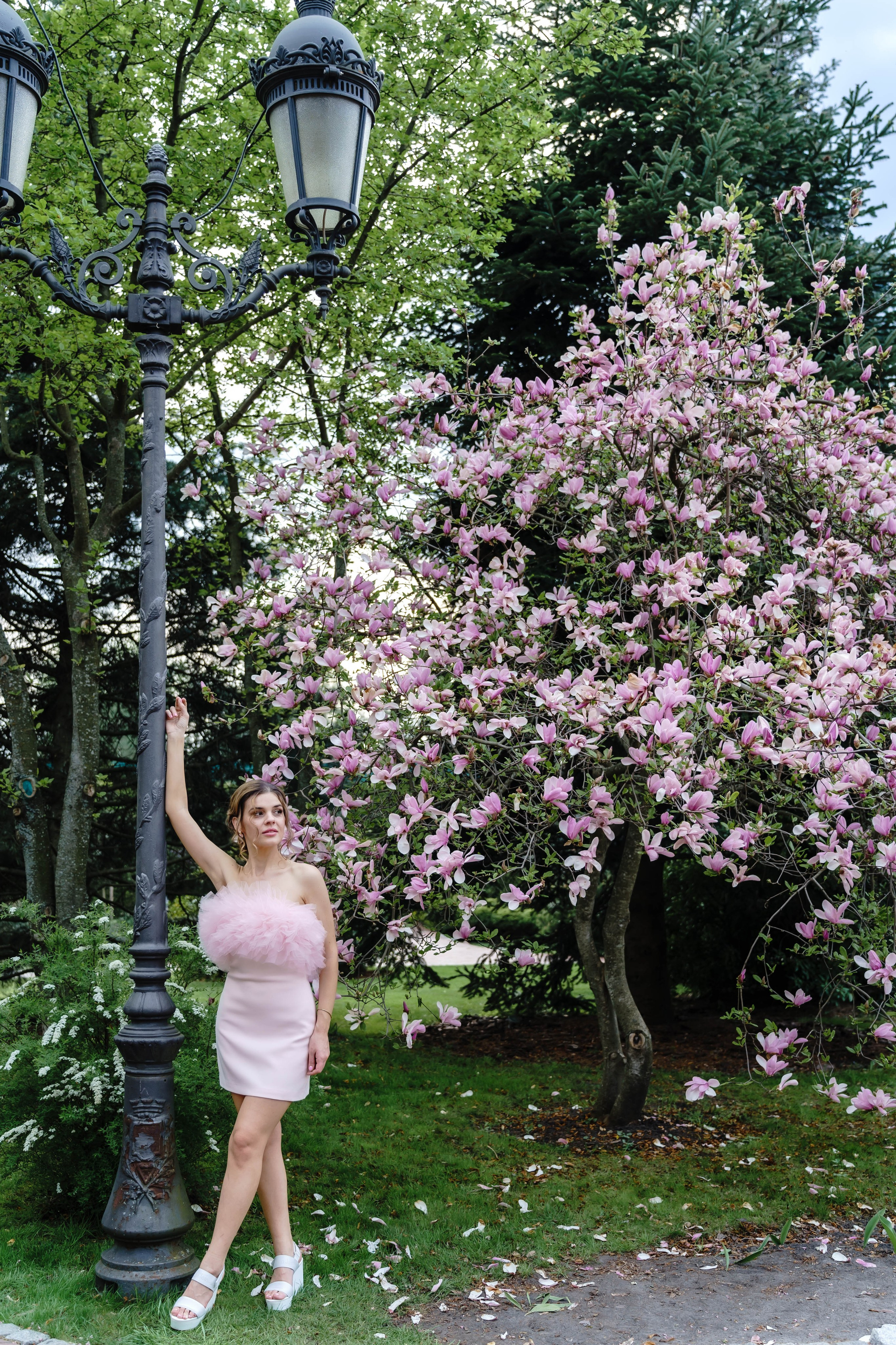 Фотосесія в магноліях. Сімейний фотограф Київ Наталія Шкаврон