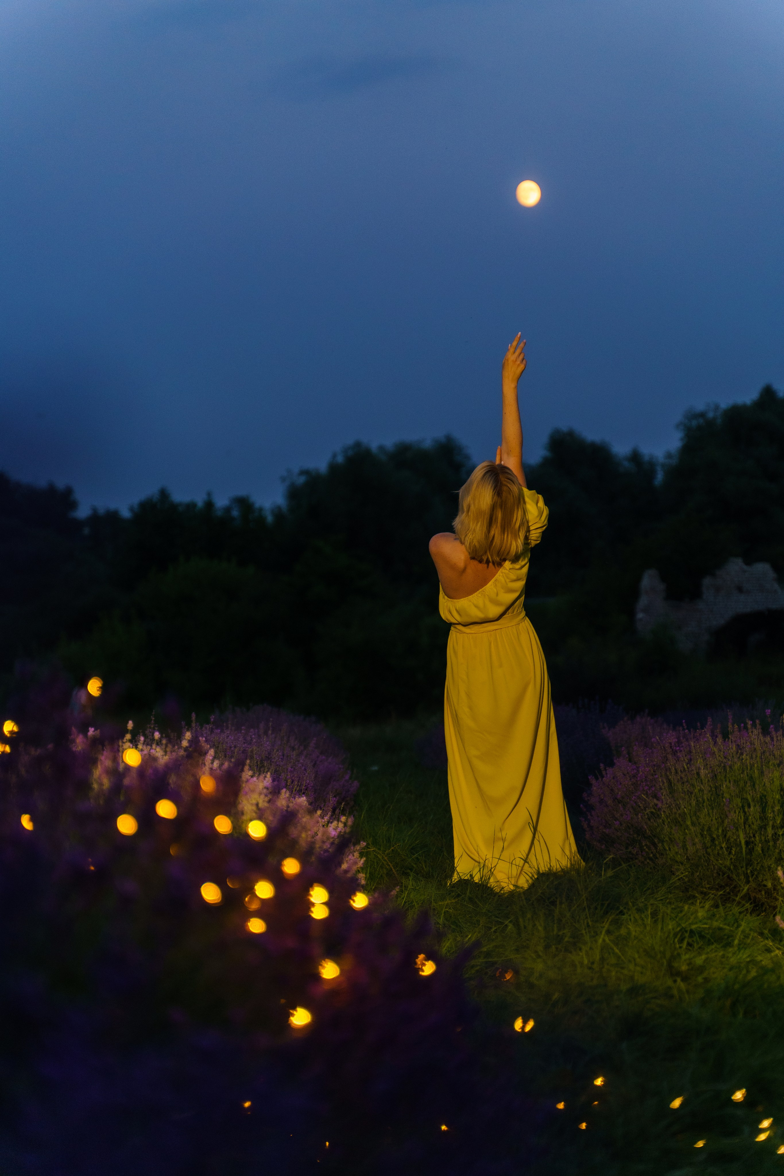 Індивідуальна фотосесія в лаванді в сутінках. Сімейний фотограф Київ Наталія Шкаврон