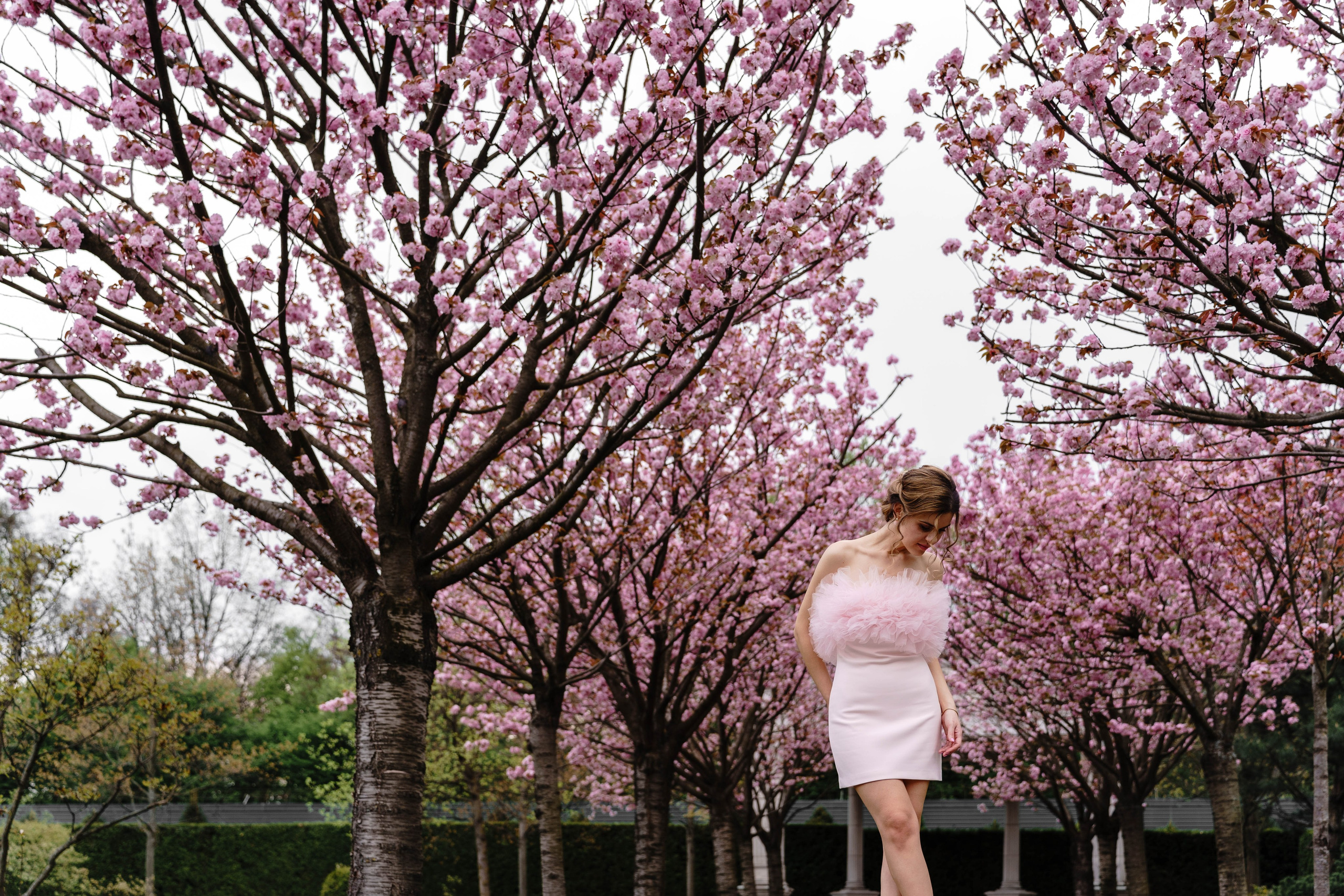 Фотосесія в сакурах. Family photographer in Kiev Natalia Shkavron