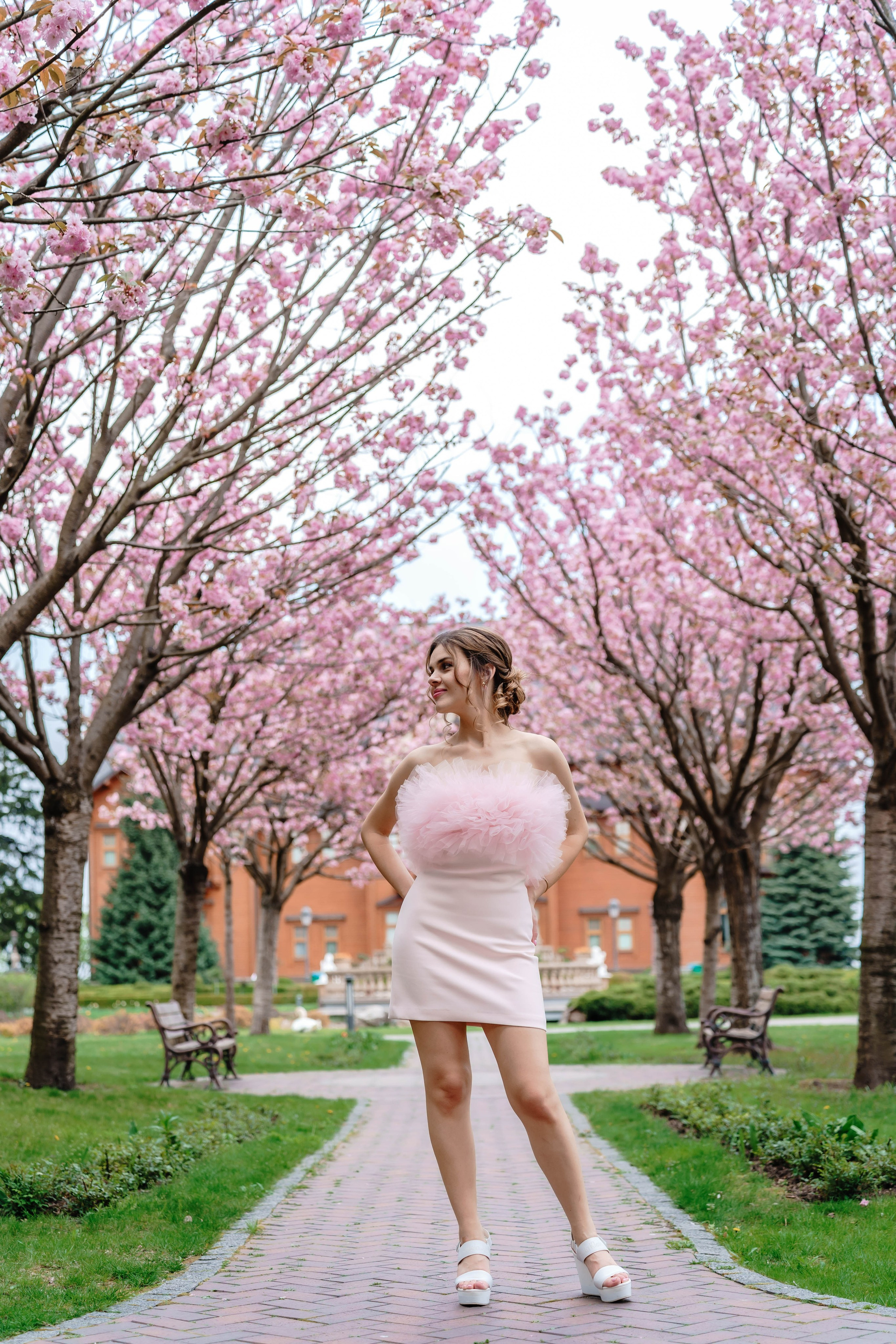 Фотосесія в сакурах. Family photographer in Kiev Natalia Shkavron