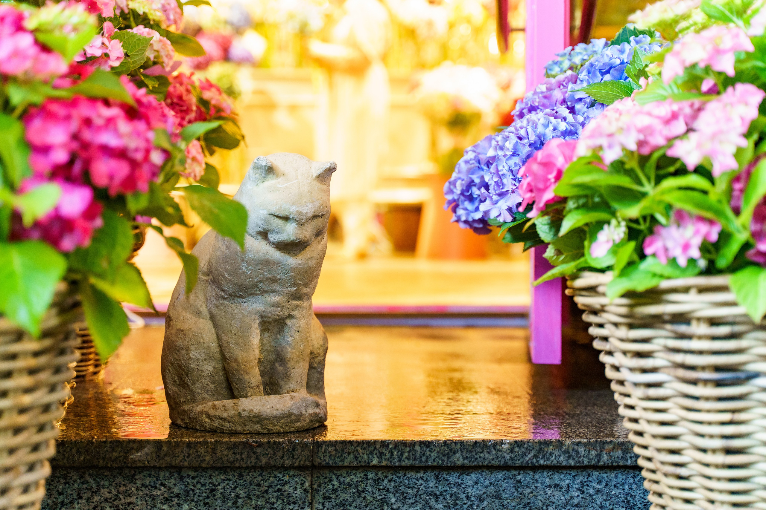 Сімейна фотосесія в гортензіях в Клов саду. Family photographer in Kiev Natalia Shkavron