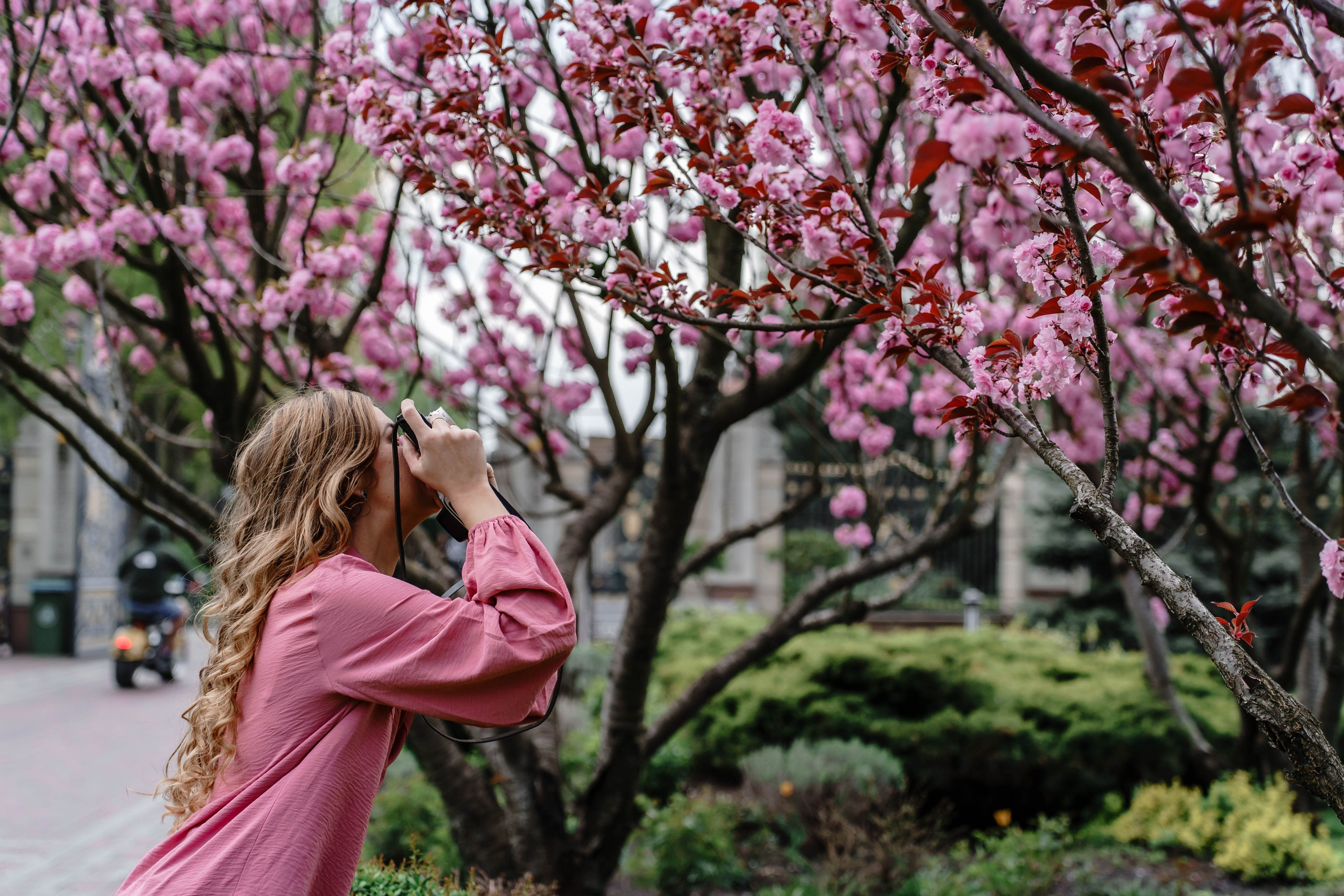 Фотосесія в сакурах. Family photographer in Kiev Natalia Shkavron
