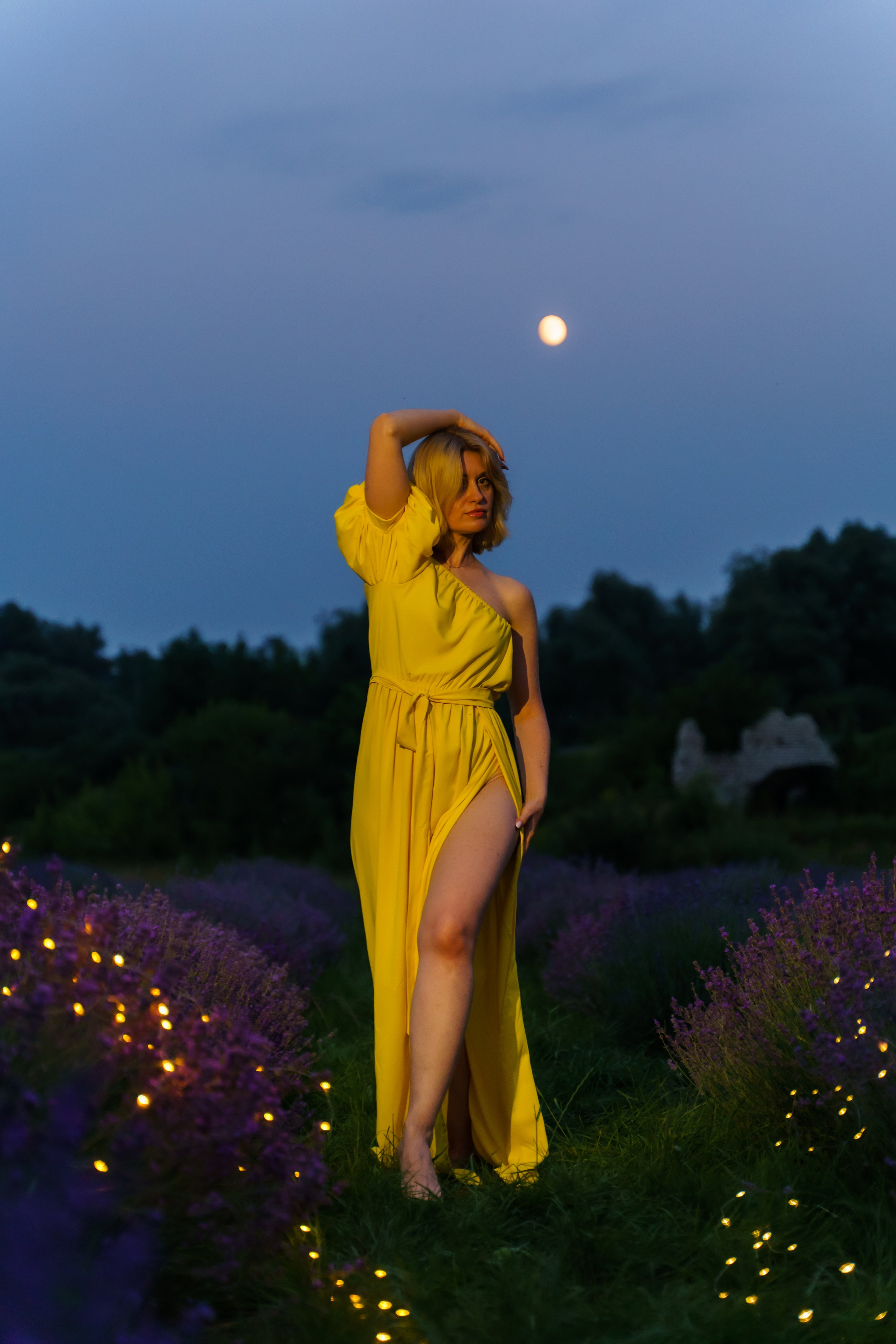 лавандове поле заставка