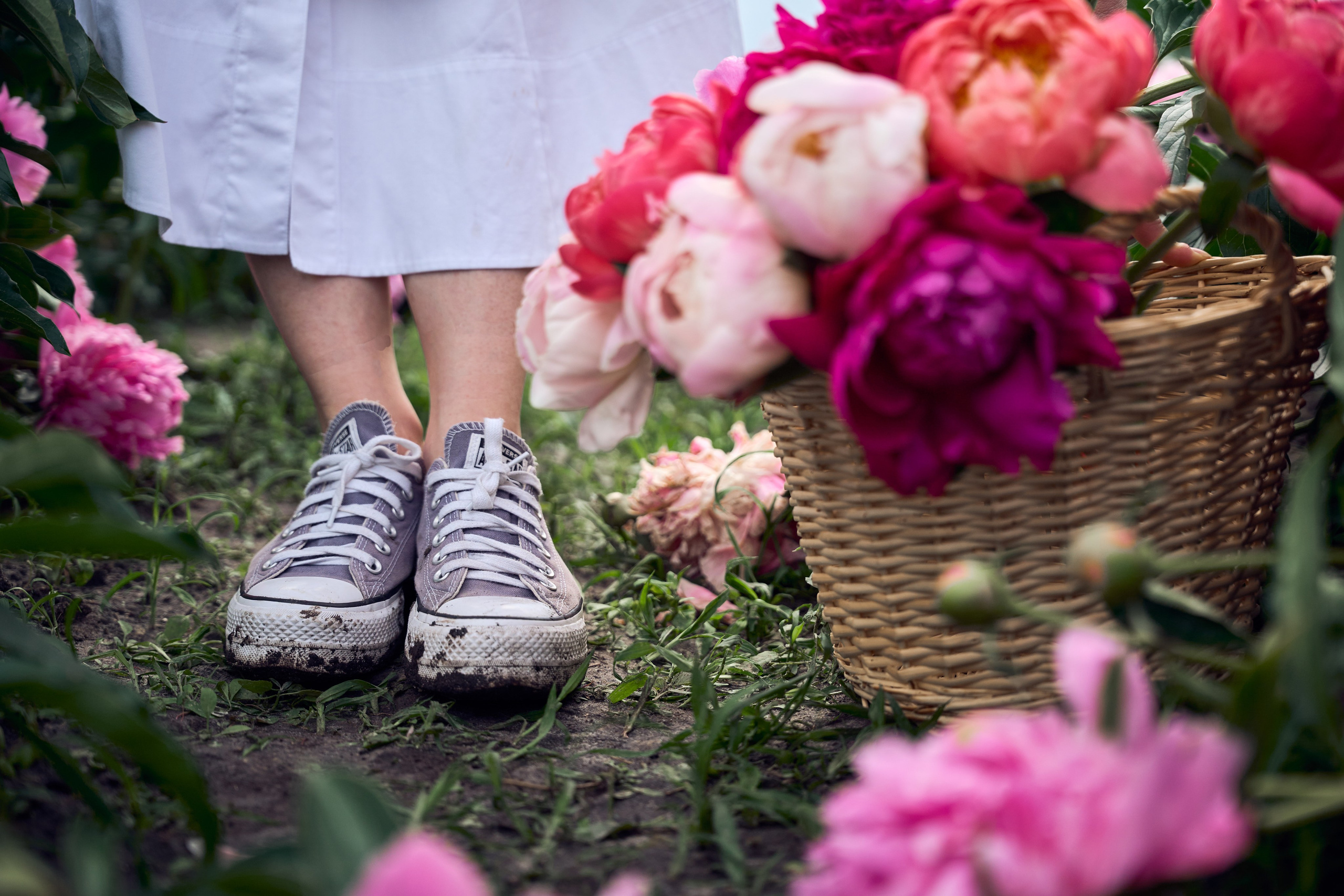 Сімейна фотосесія з піонами у Добропарку. Family photographer in Kiev Natalia Shkavron
