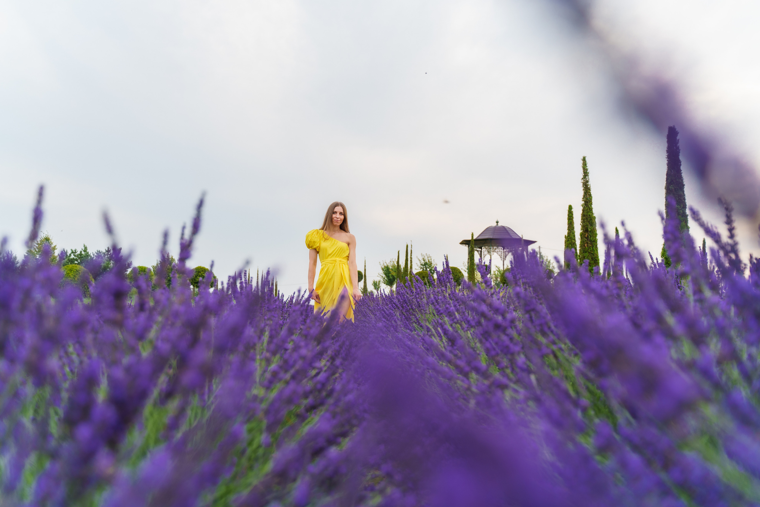 Фотосесія в лаванді у Добропарку. Family photographer in Kiev Natalia Shkavron